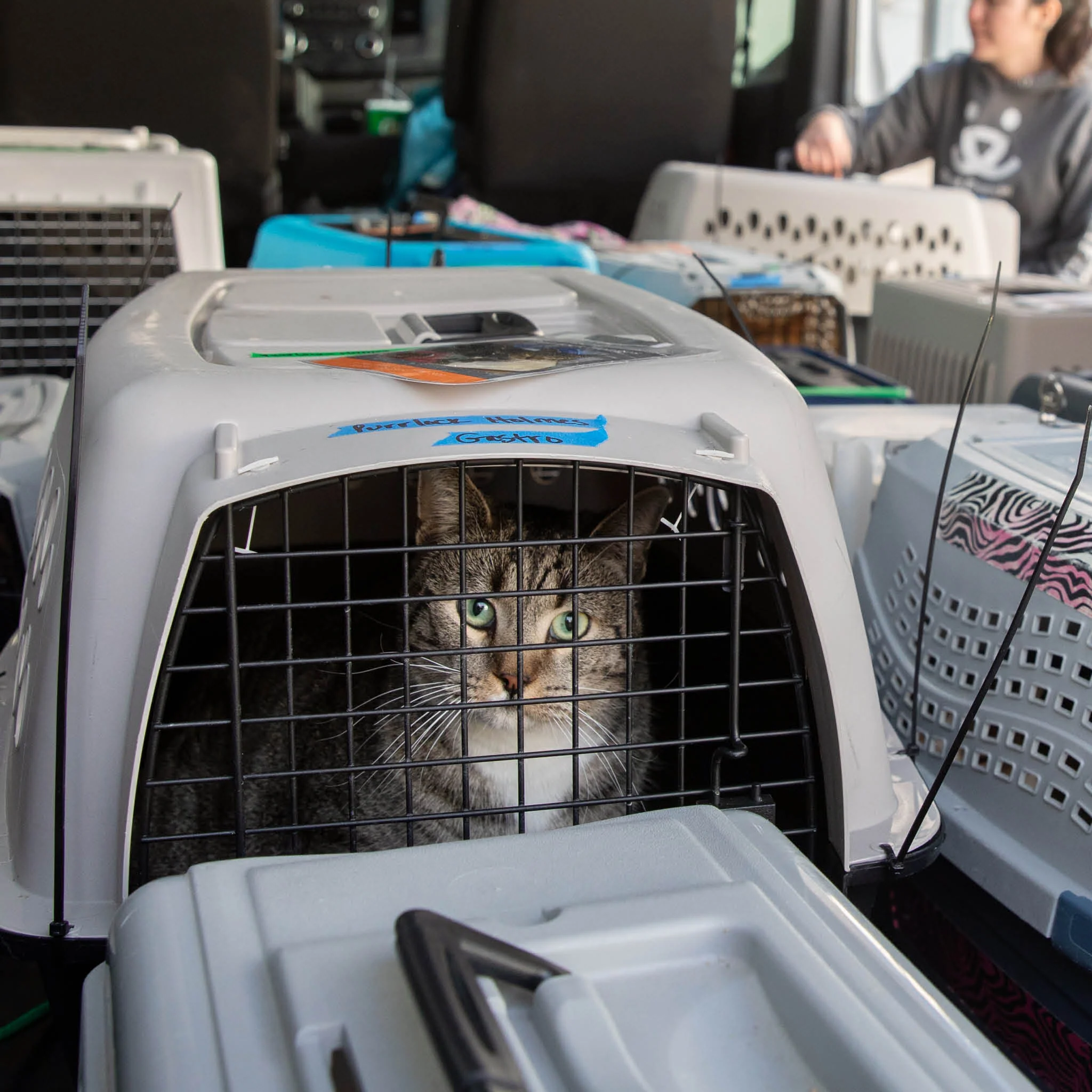 A Lifesaving Road Trip