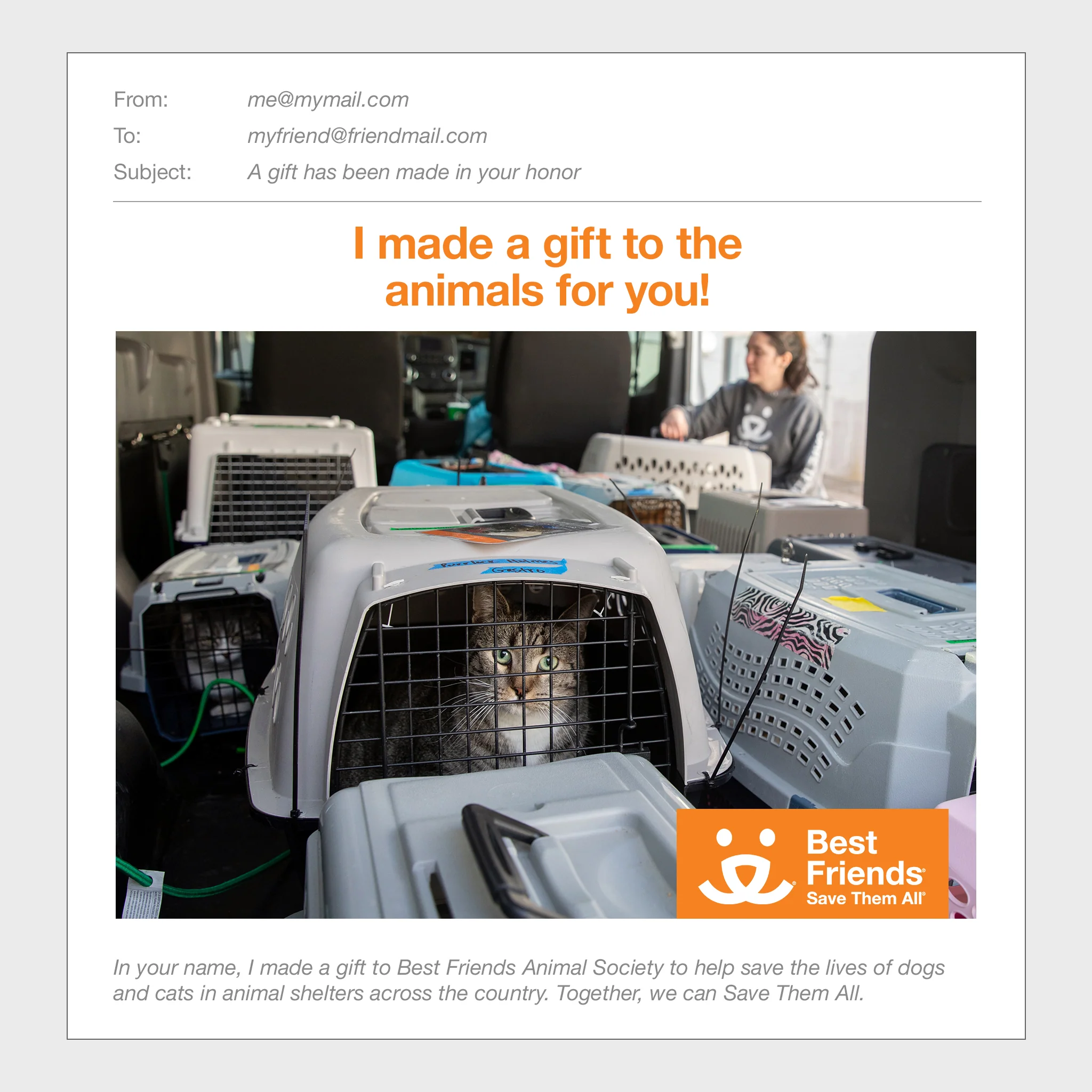 A Lifesaving Road Trip - Image 2