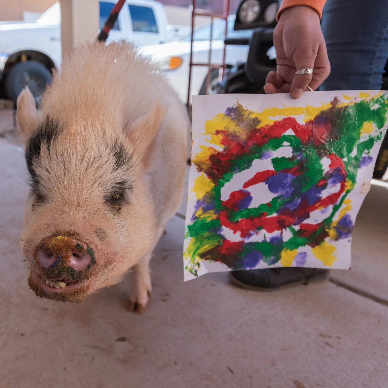 Animal Art Mini Notebook Set - Image 8