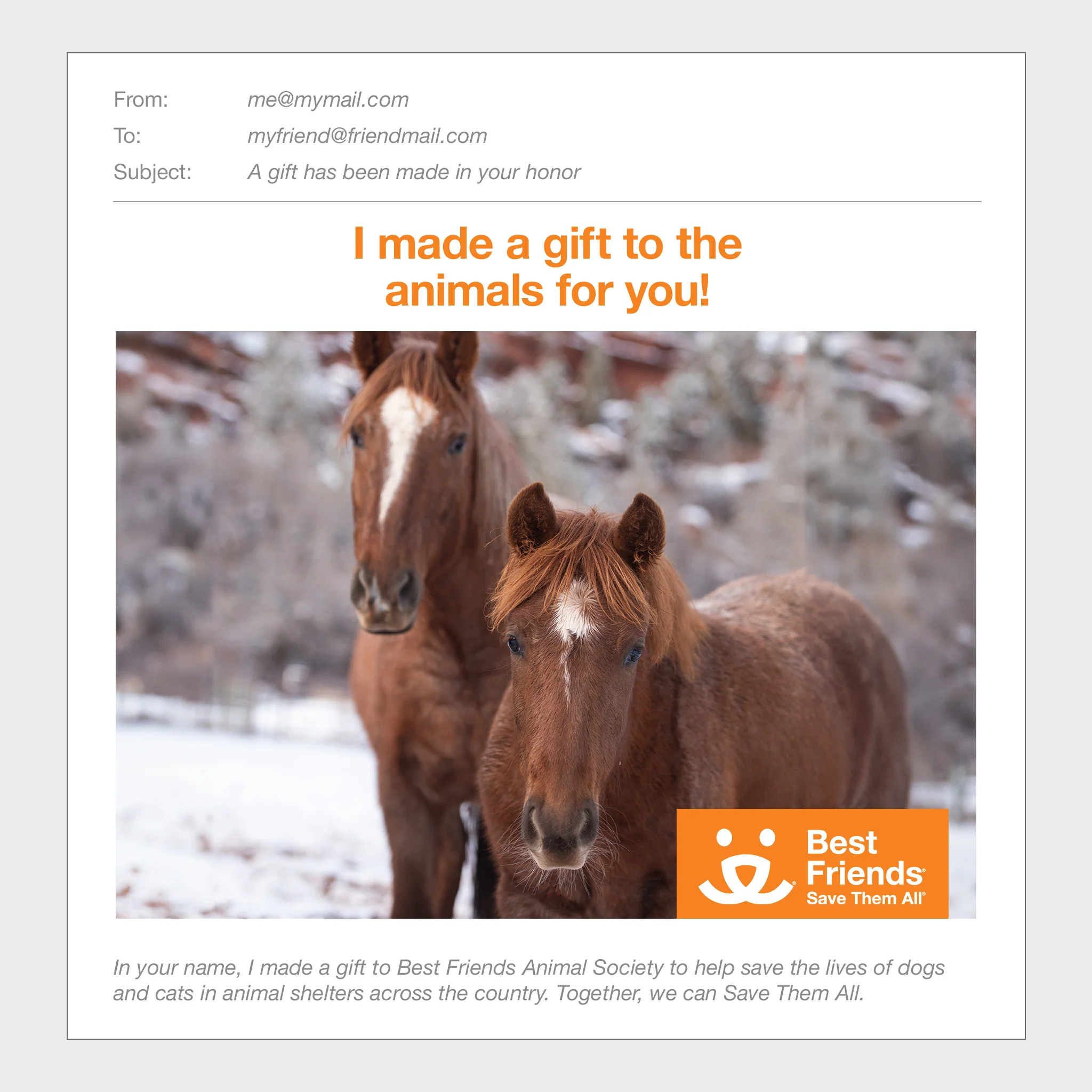 Barnyard Animal Care Package - Image 2