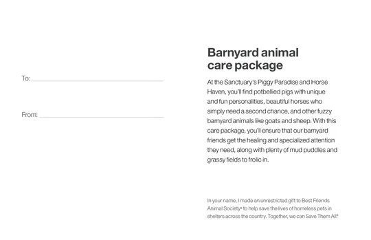 Barnyard Animal Care Package - Image 4