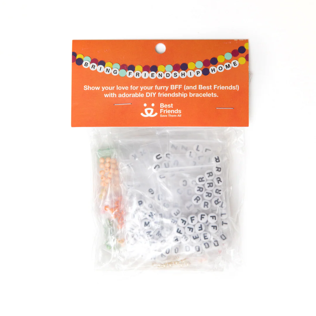 Best Friends DIY Friendship Bracelet Kit