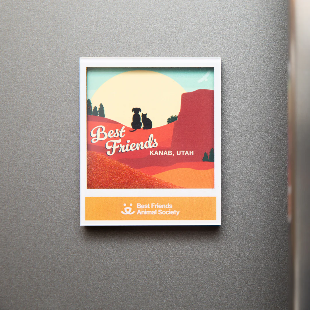 Best Friends Flowing Sand Magnet - Image 2