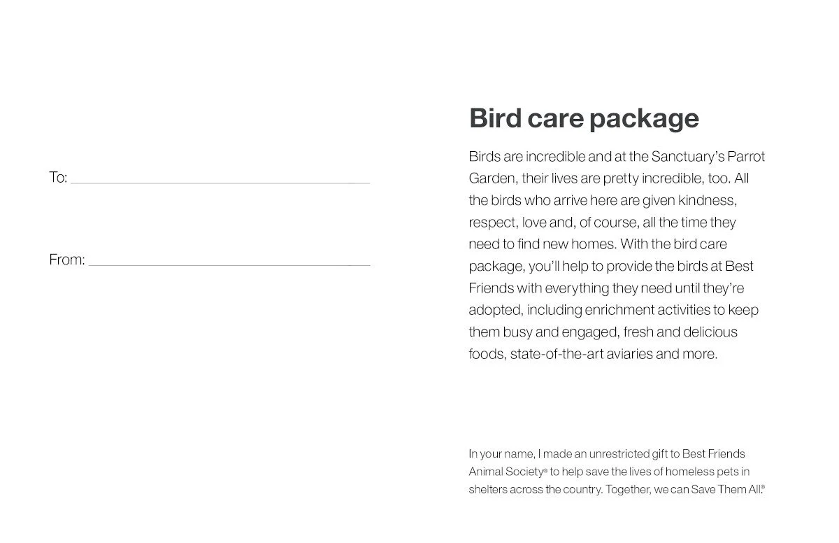 Bird Care Package - Image 4