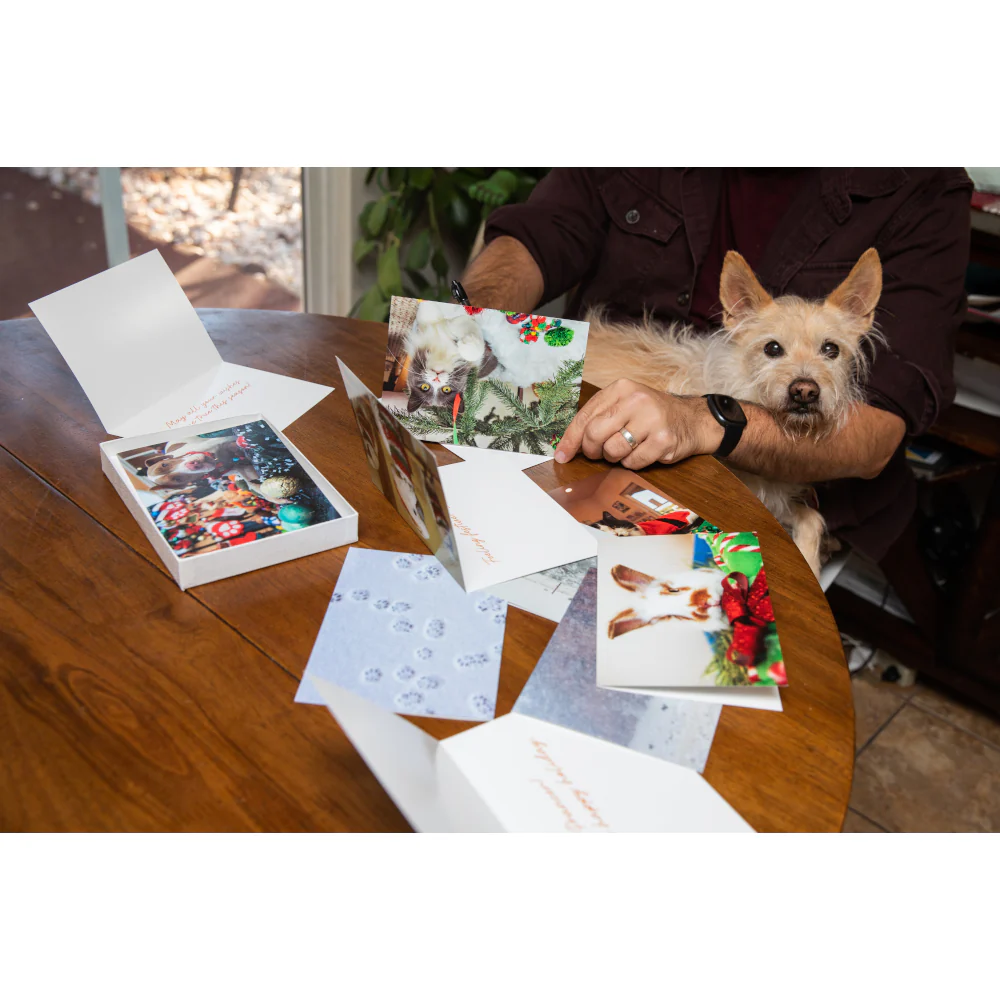 Boxed Holiday Fur & Feathers Cards - Image 3