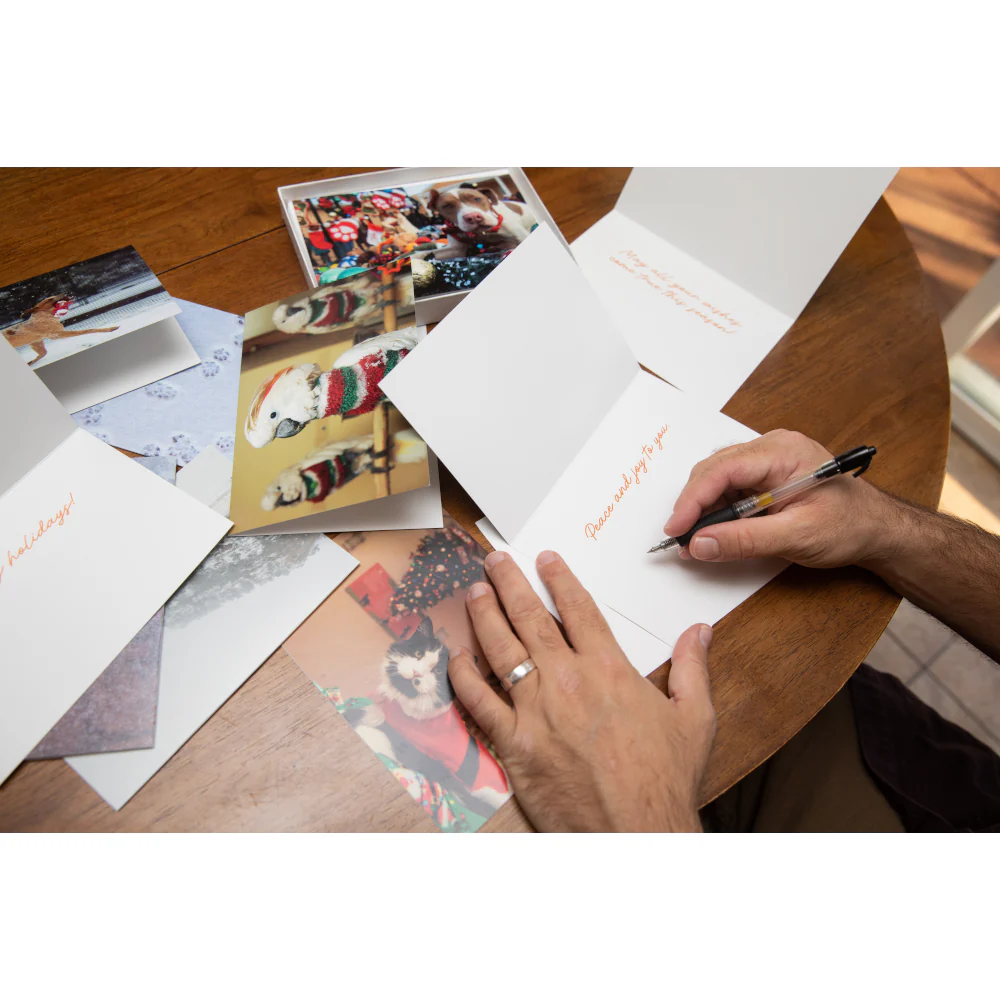 Boxed Holiday Fur & Feathers Cards - Image 4