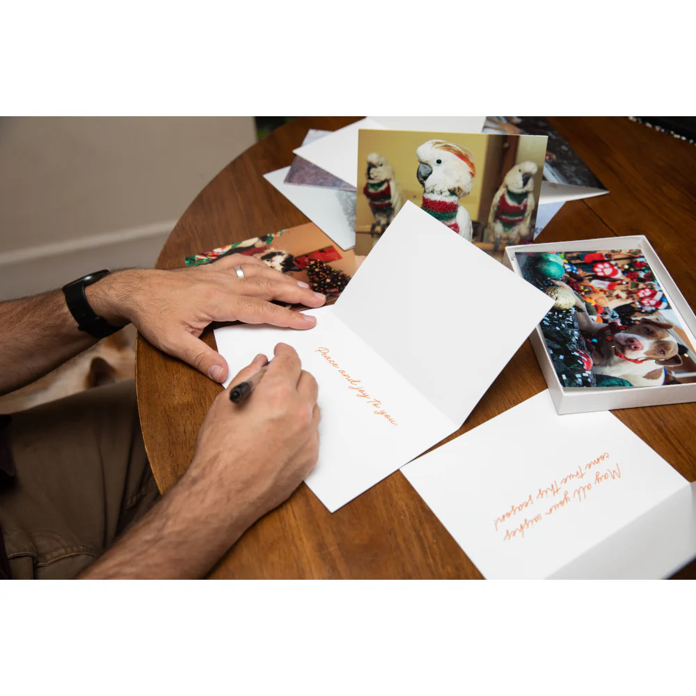 Boxed Holiday Fur & Feathers Cards - Image 6