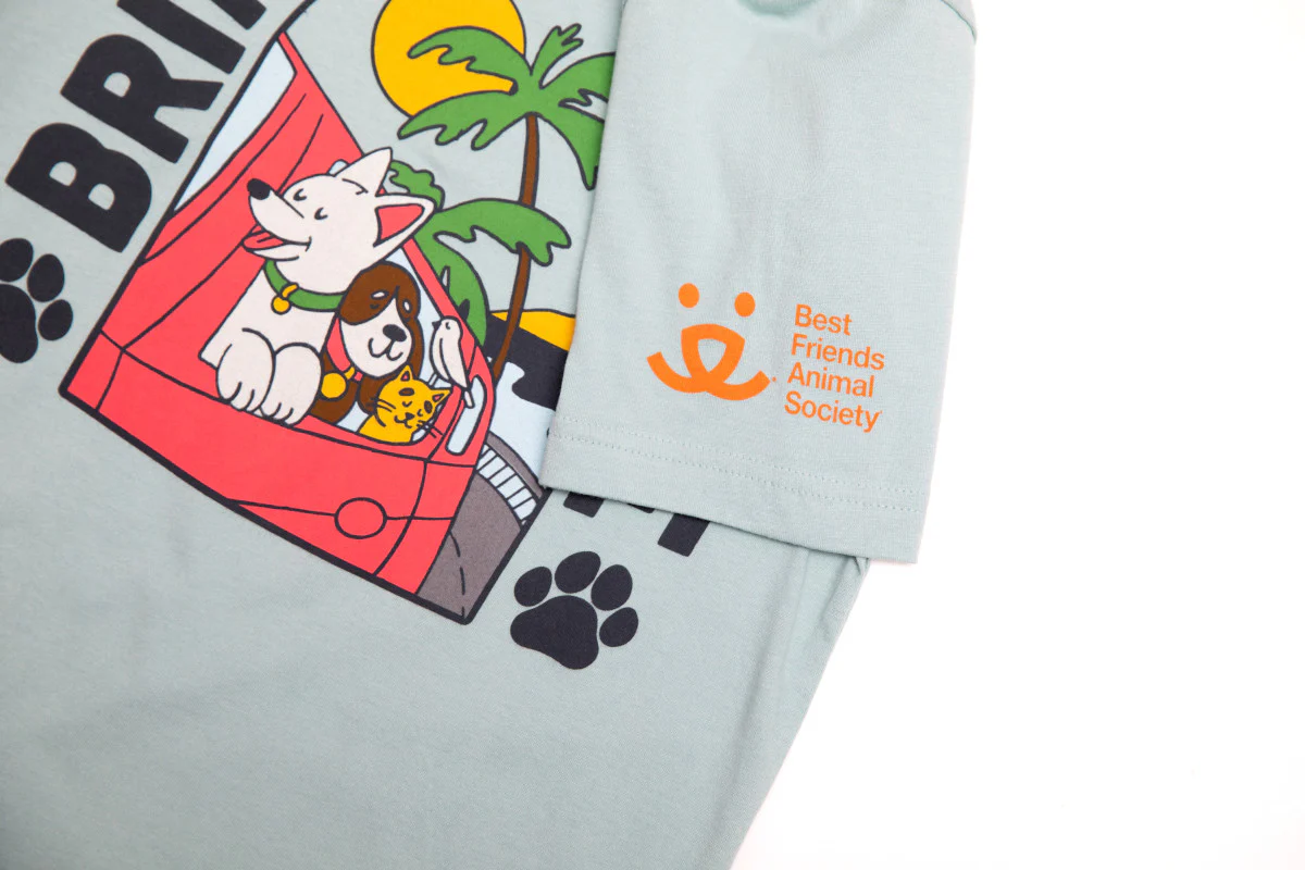 Bring Love Home Bus Ride T-Shirt - Image 2