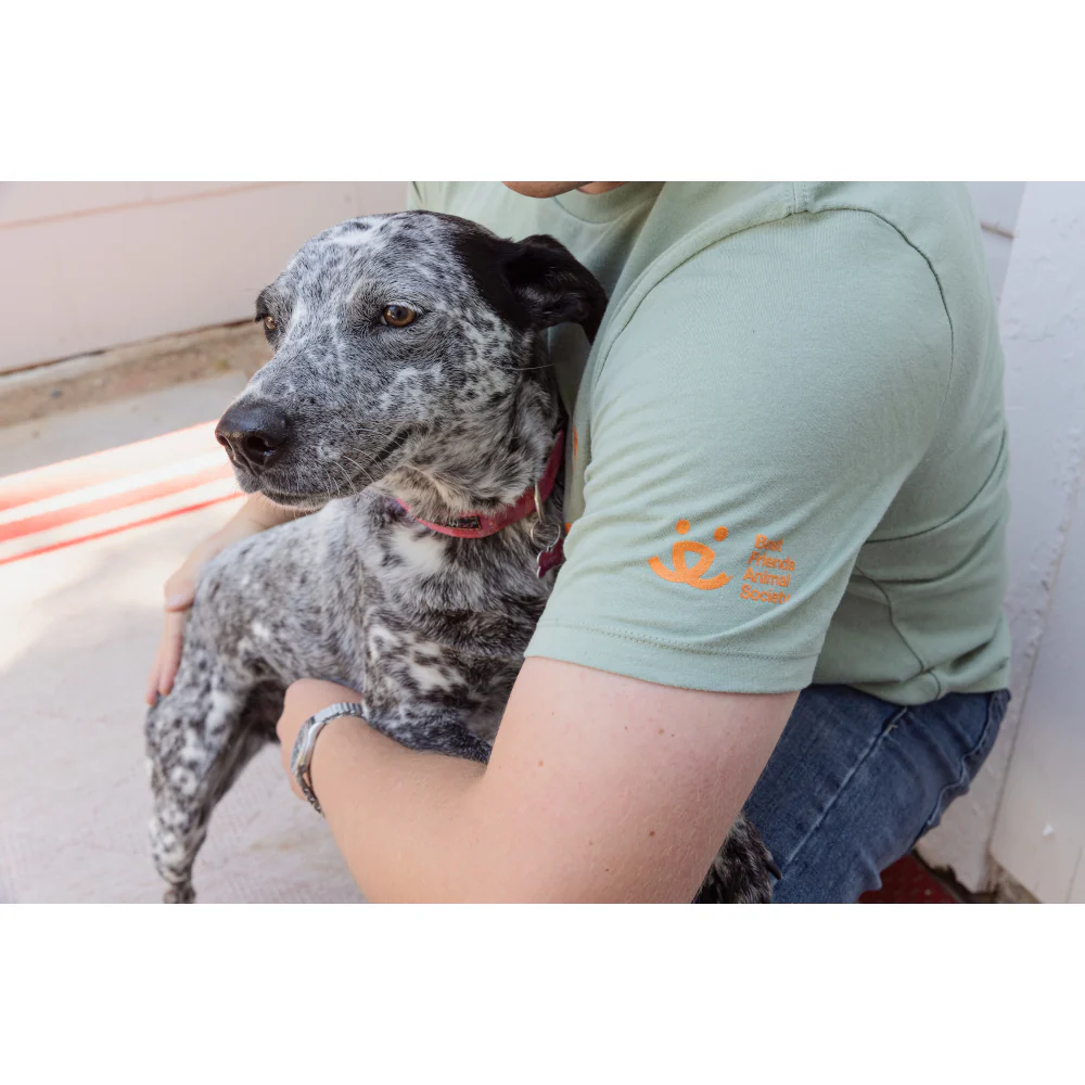 Bring Love Home Bus Ride T-Shirt - Image 4