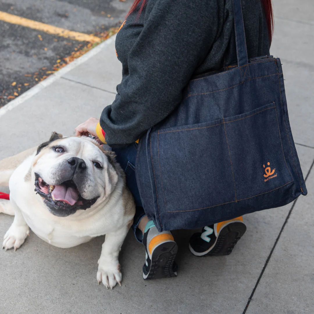 Denim Tote, Running Errands for my Best Friend - Image 4