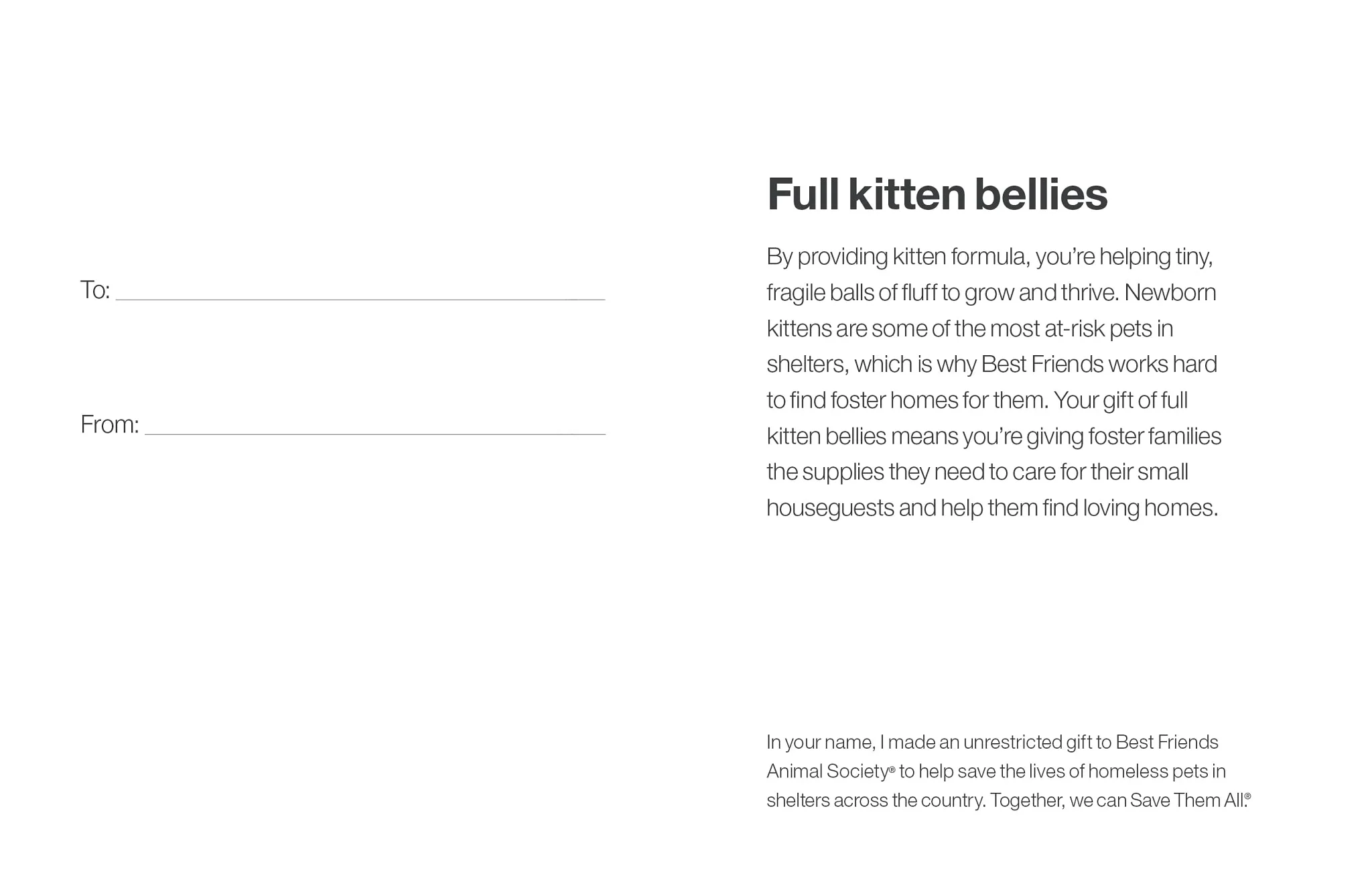 Full Kitten Bellies - Image 4
