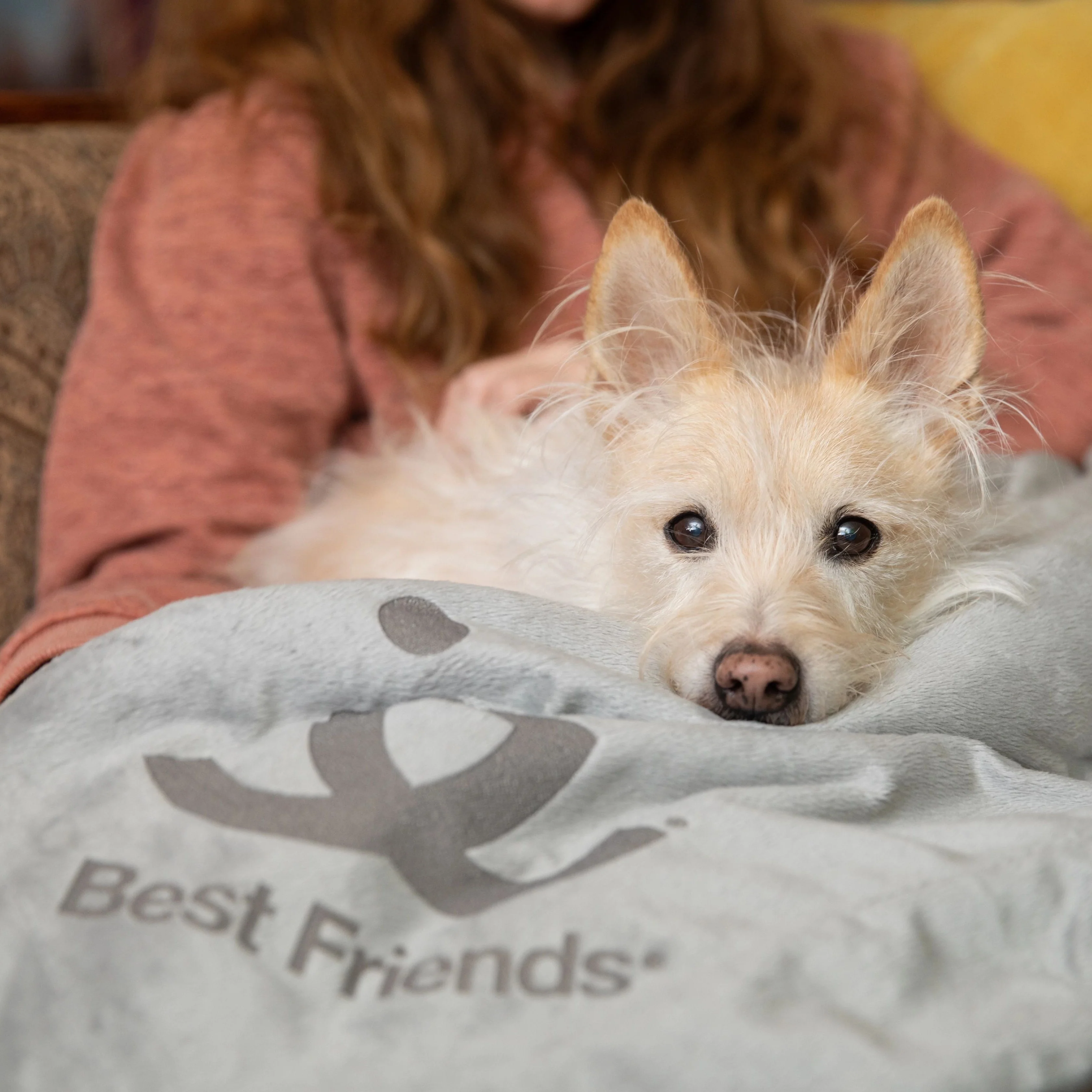 Luxe Sherpa Throw Blanket - Image 4