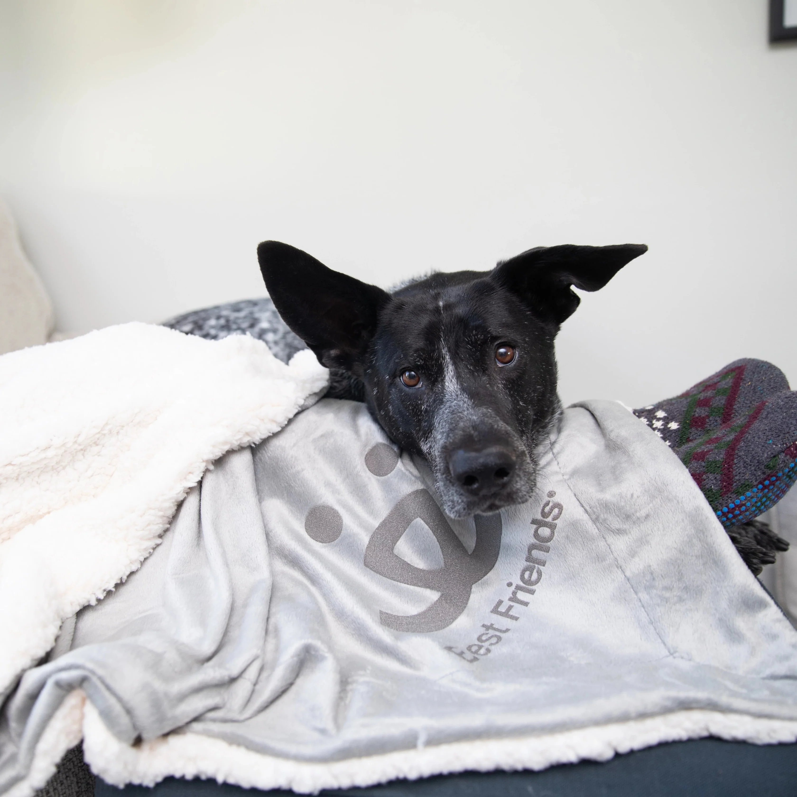 Luxe Sherpa Throw Blanket - Image 9
