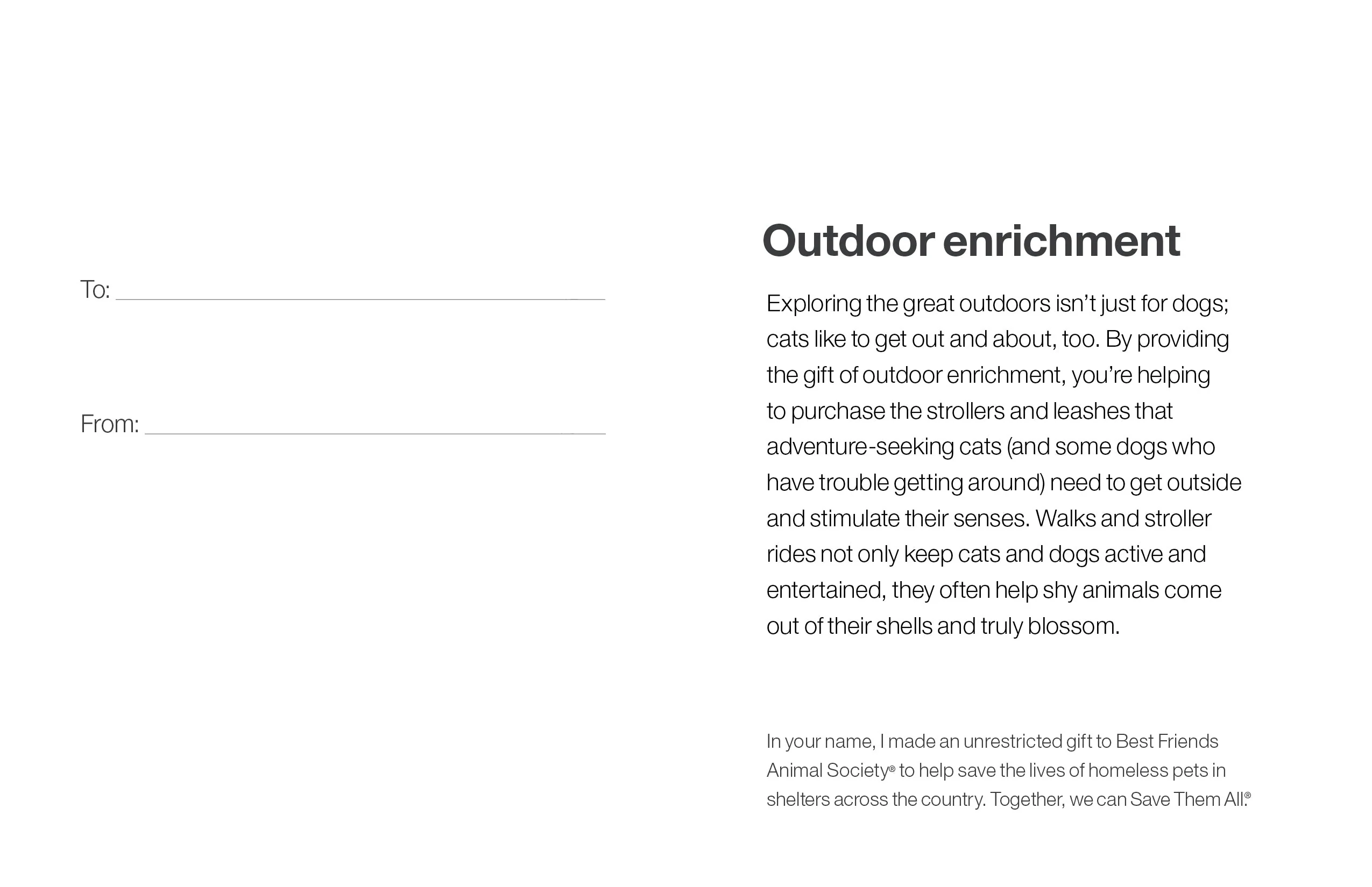 Outdoor Enrichment - Image 4