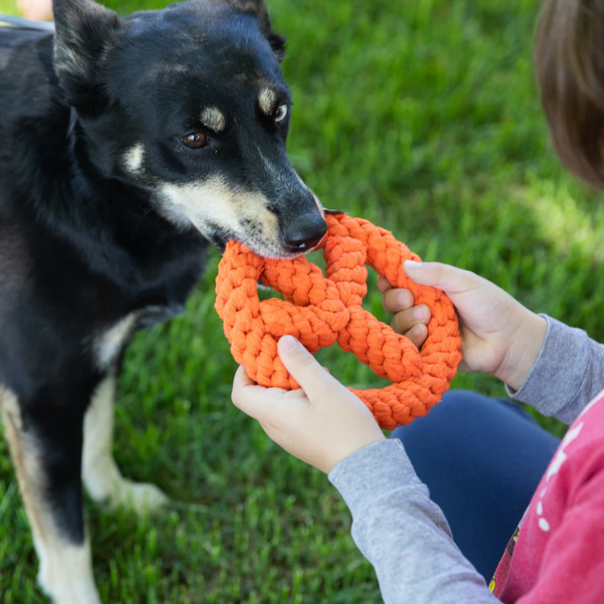 Peace Rope Toy - Image 2