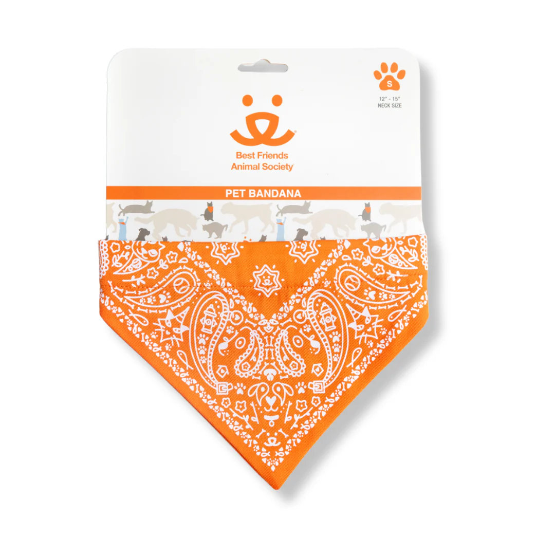 Paisley Pet Bandana