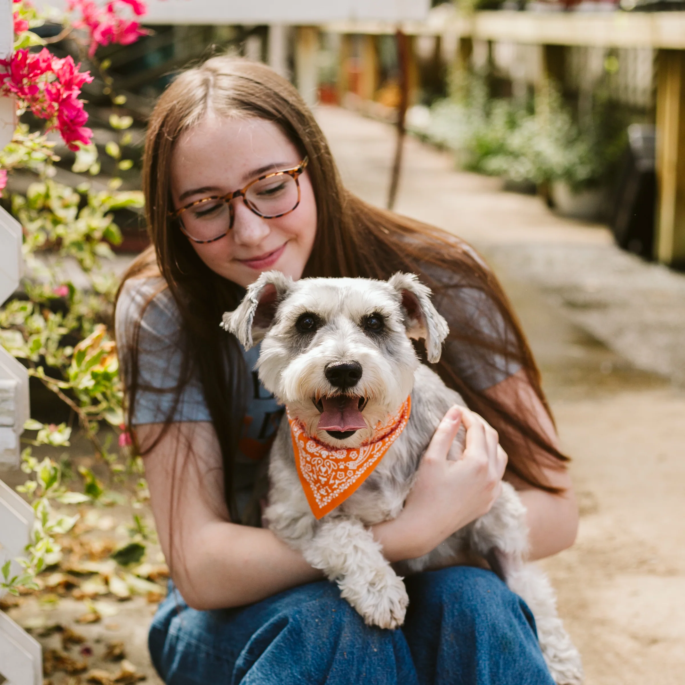 Paisley Pet Bandana - Image 11