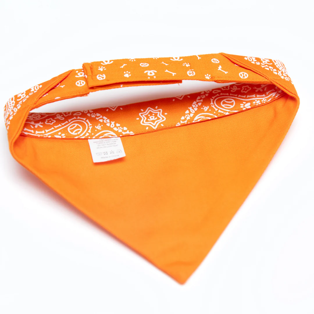 Paisley Pet Bandana - Image 6