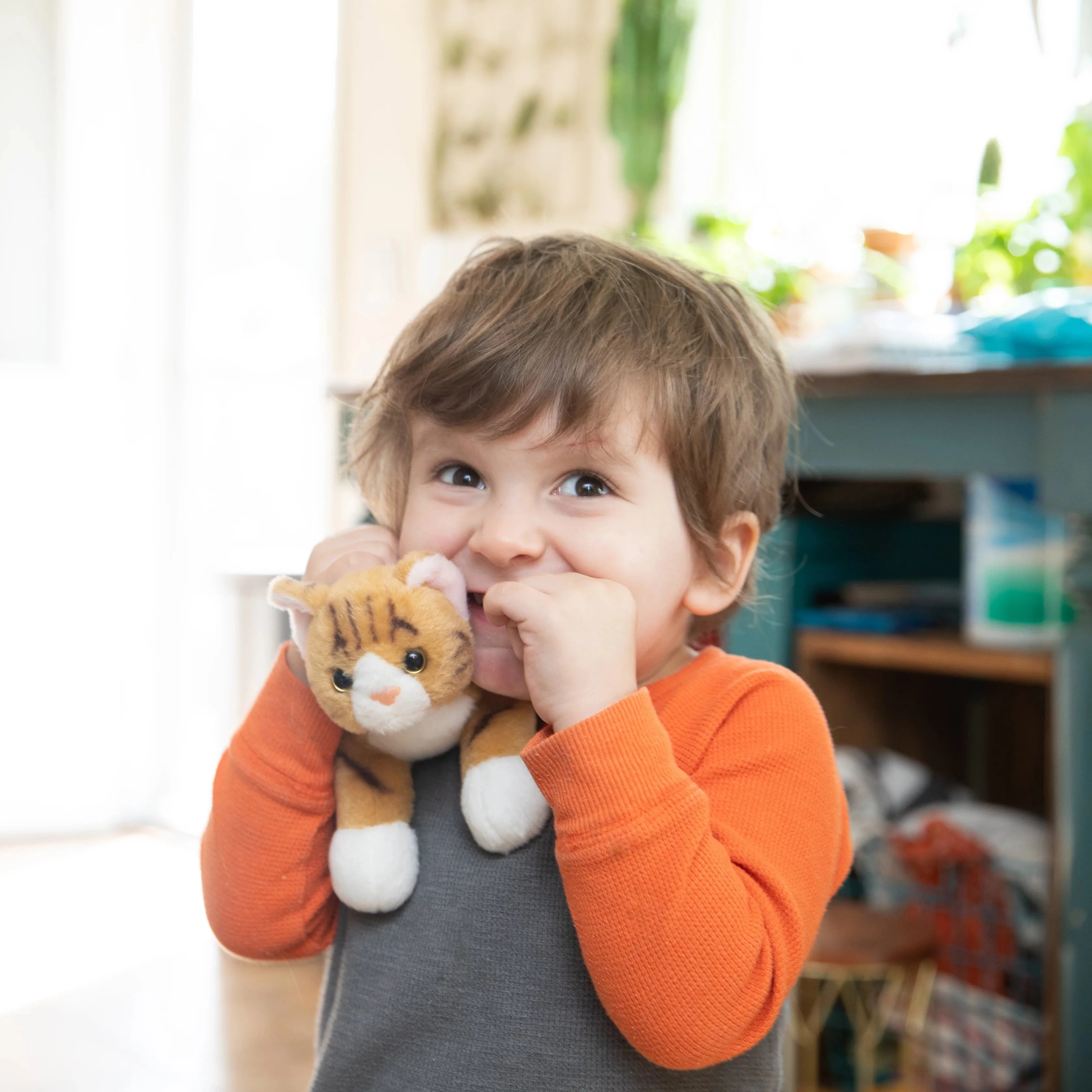Community Cat Plush Toy - Image 3