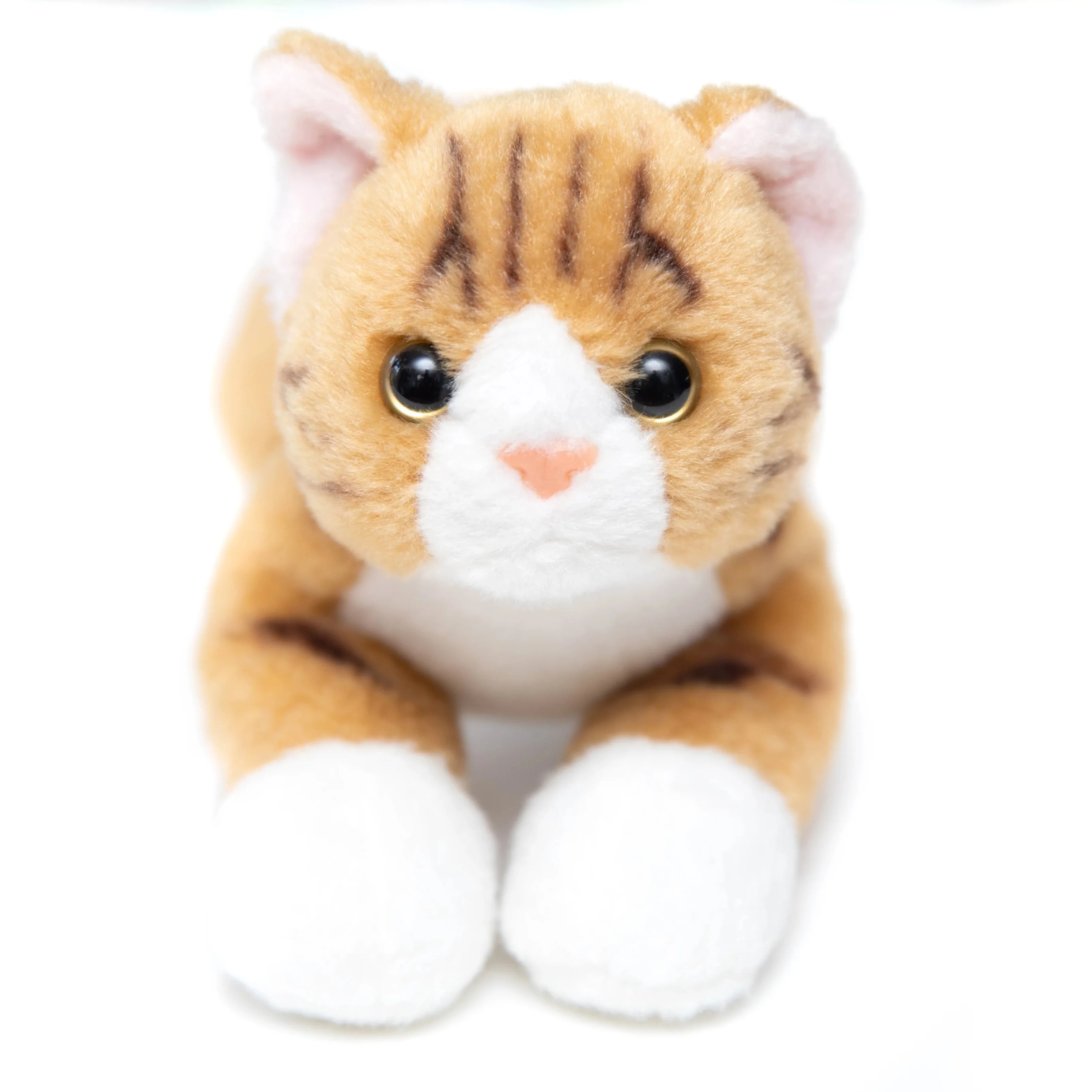 Community Cat Plush Toy - Image 4