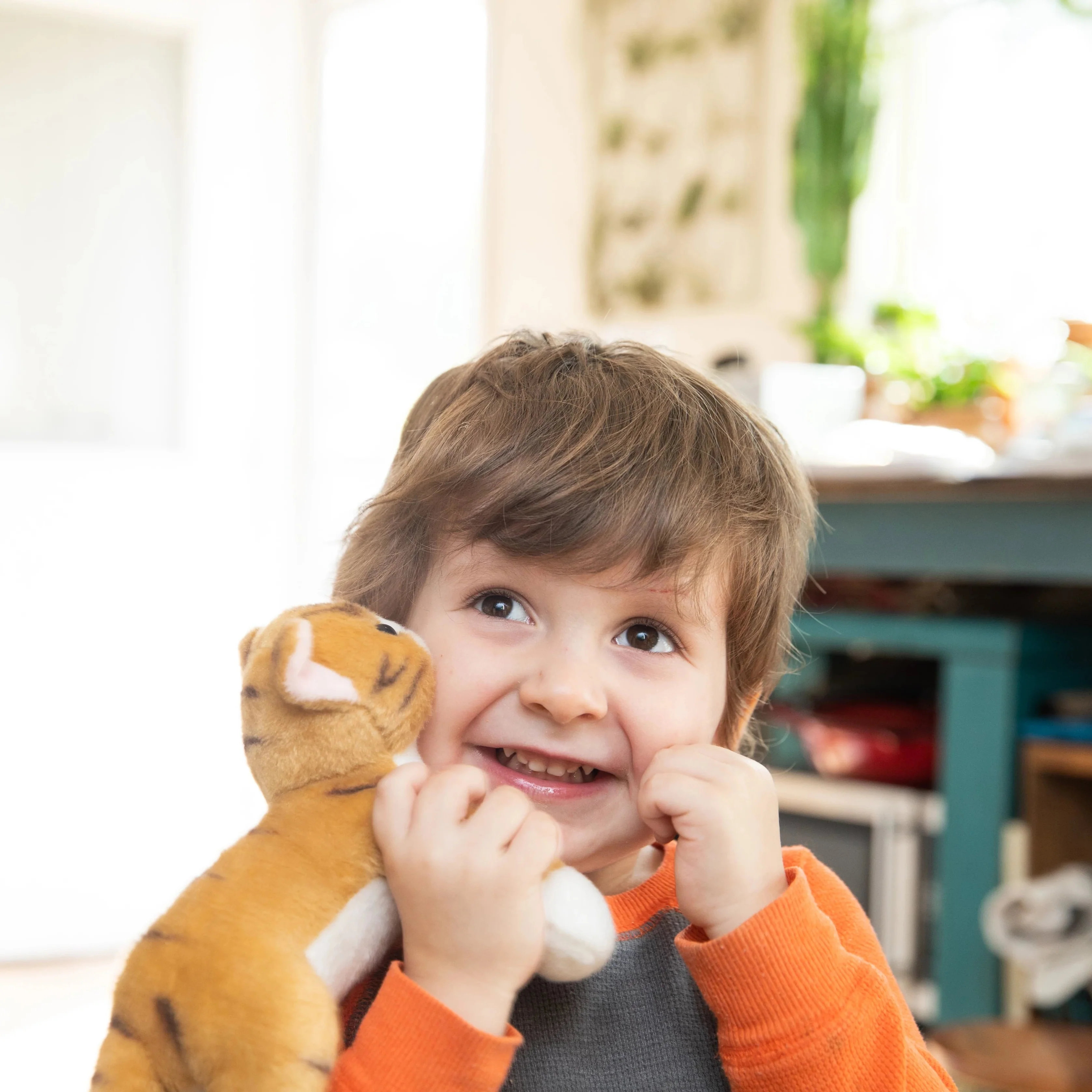 Community Cat Plush Toy - Image 8