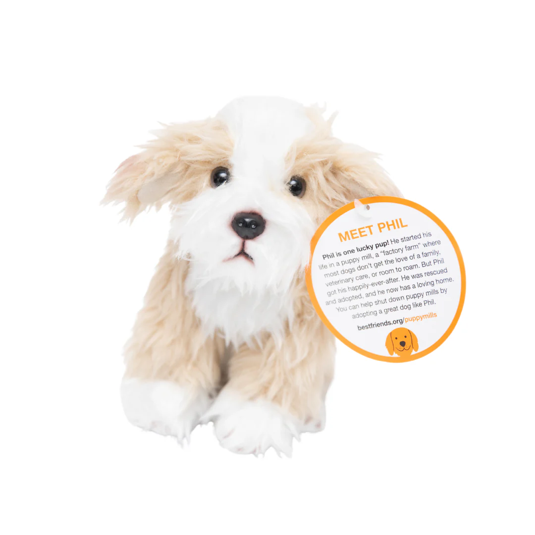 Plush Puppy Mill Dog: Phil - Image 3