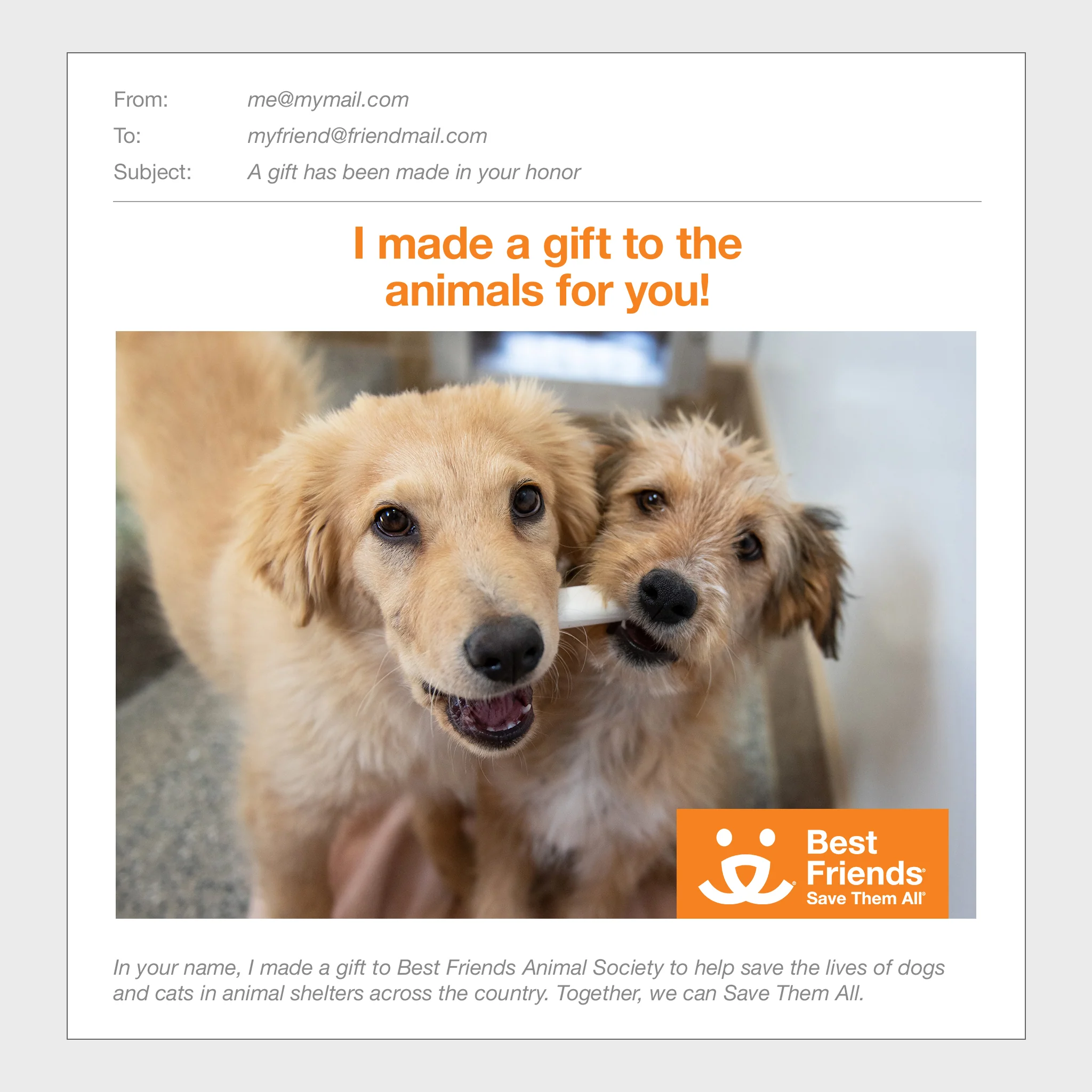 Puppy Care Package - Image 2