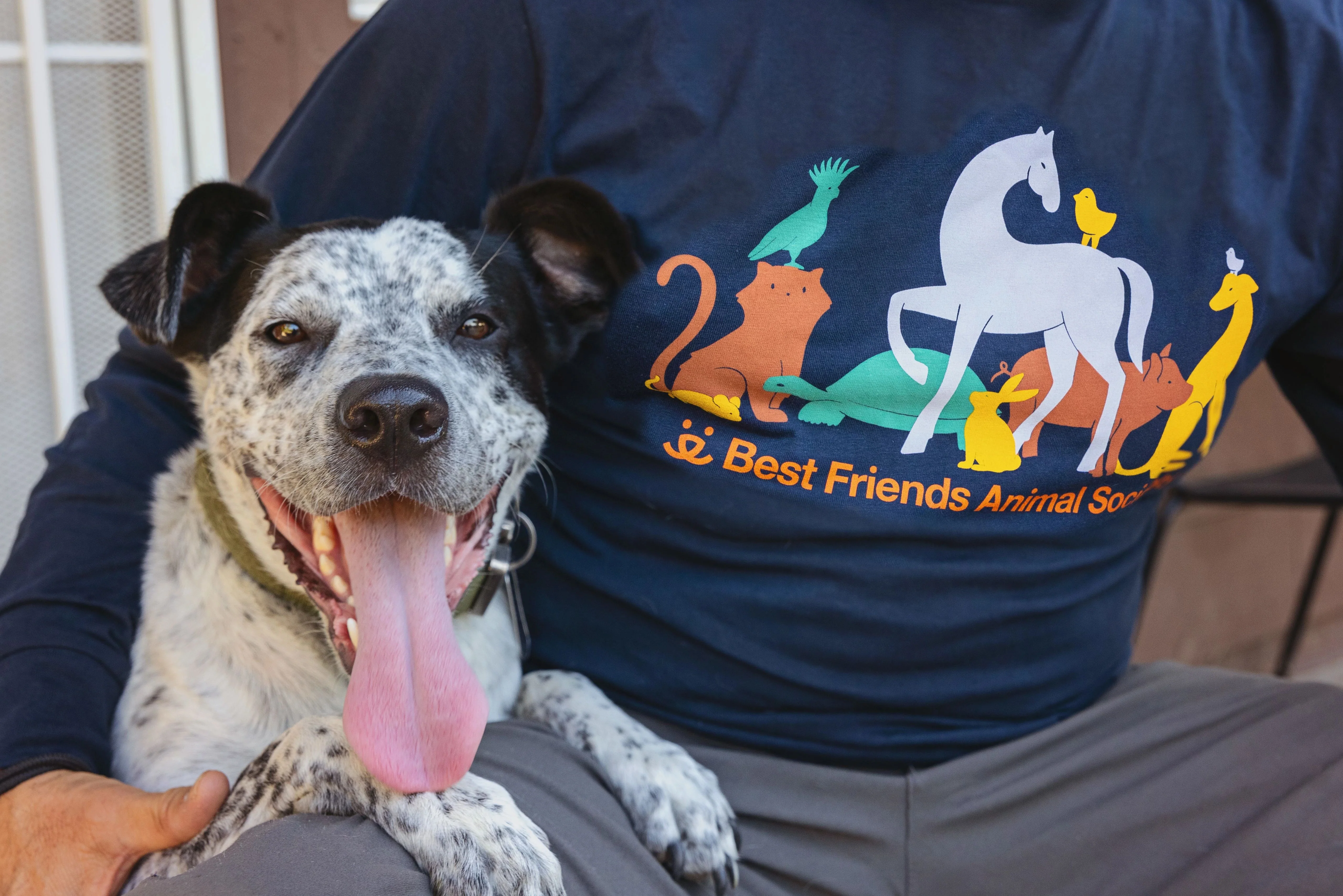 Sanctuary Animals Long Sleeve T-shirt - Image 3
