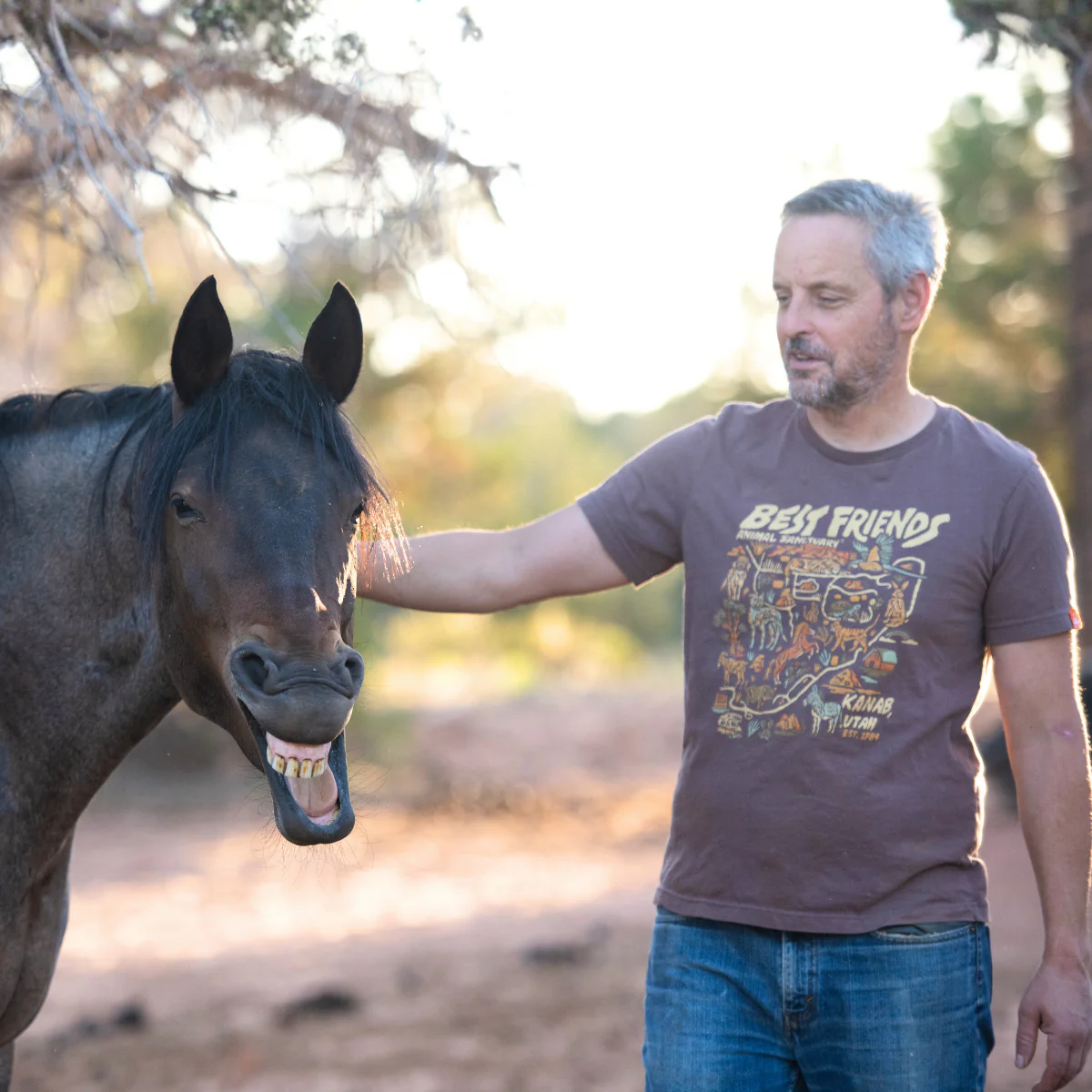 Sanctuary Map T-Shirt - Image 6