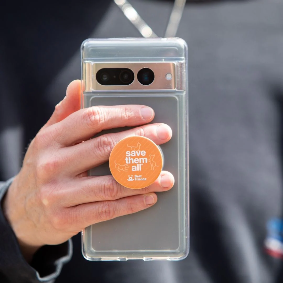 PopSocket Save Them All - Image 2