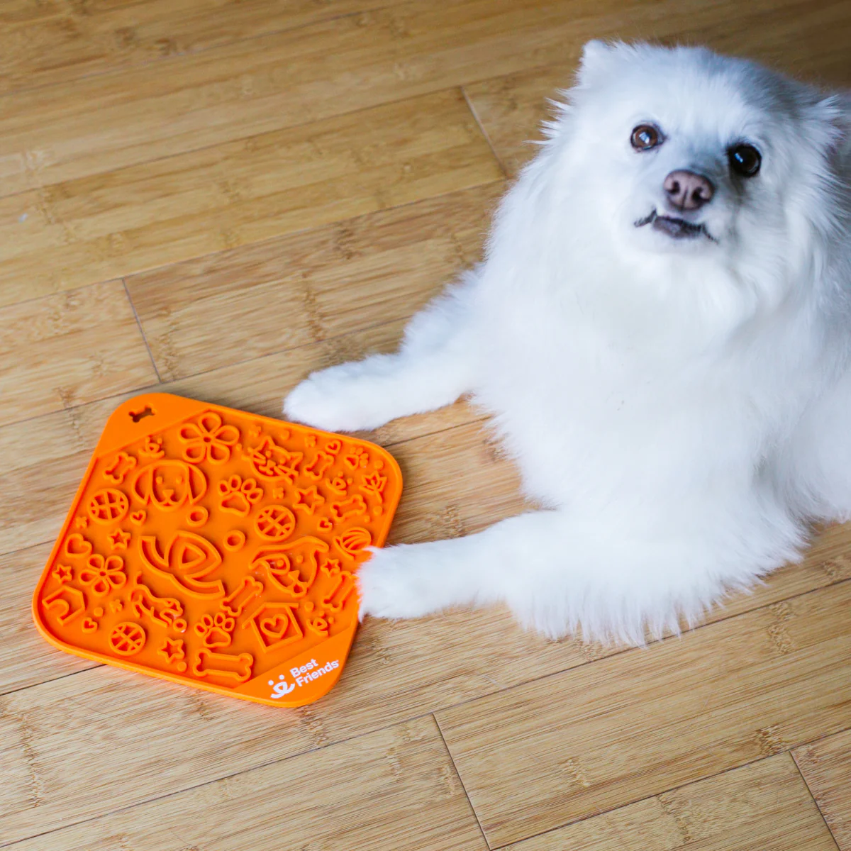 Silicone Lick Mat for Dogs & Cats - Image 4