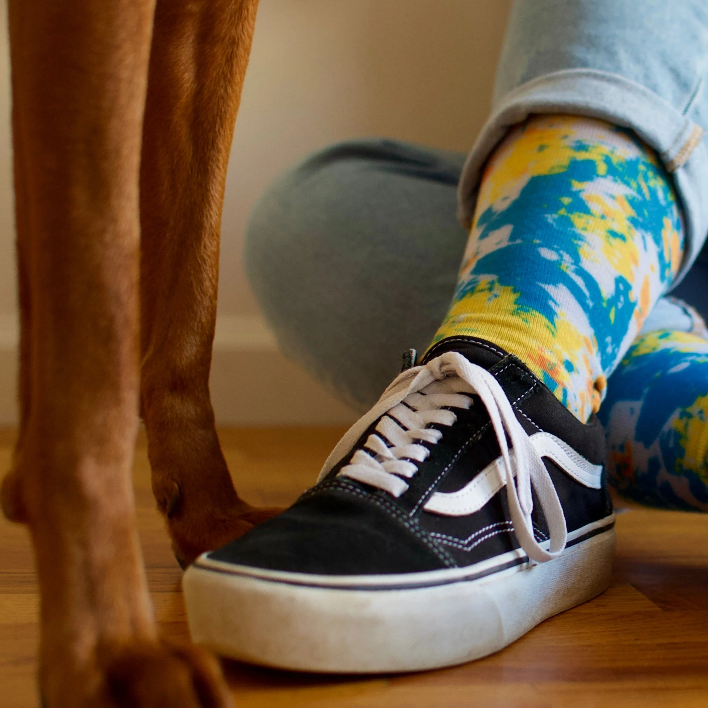 Animal Art Crew Socks - Image 6