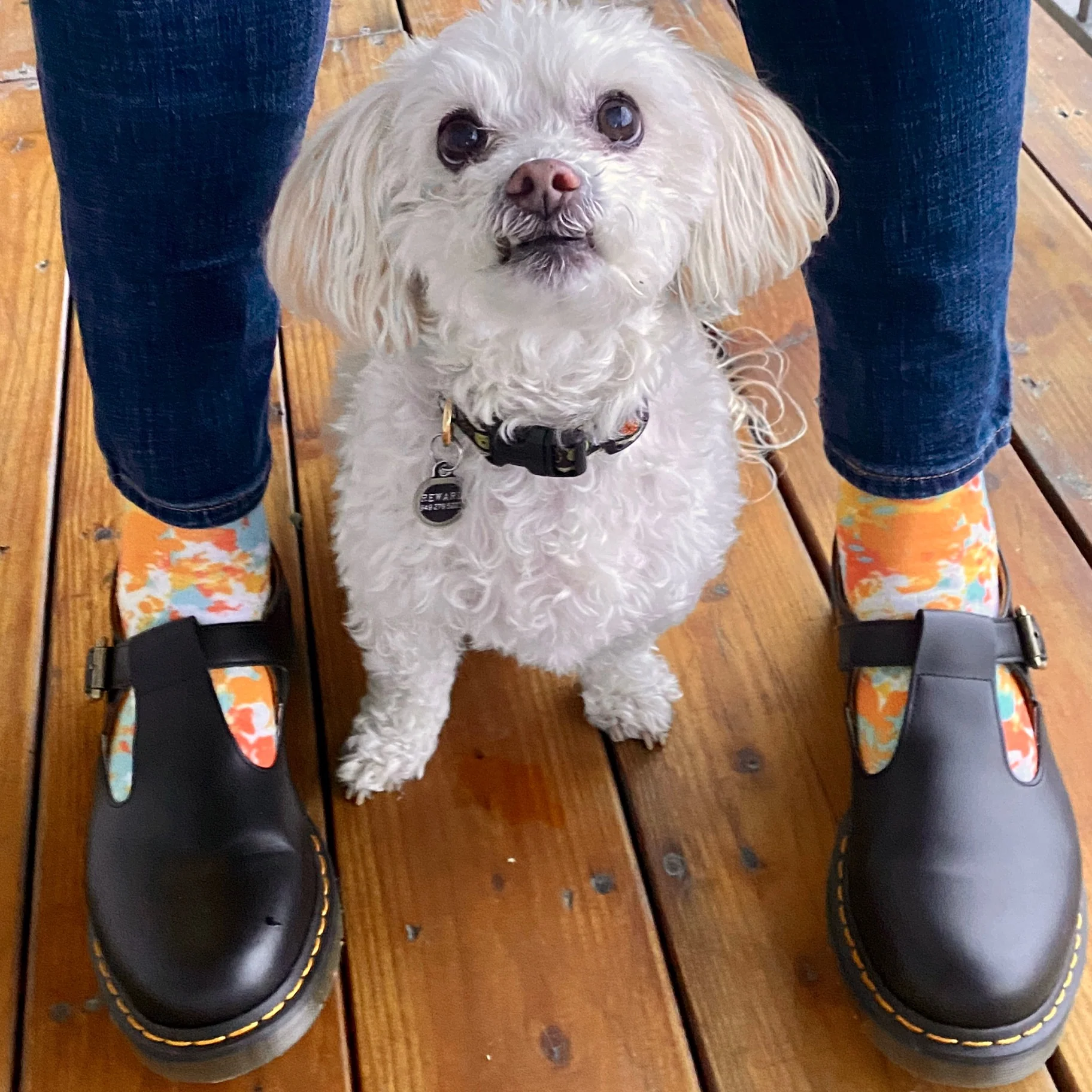 Animal Art Crew Socks - Image 8