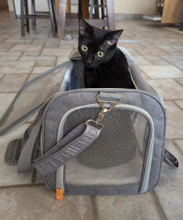 Soft Sided Best Friends Pet Carrier - Image 7