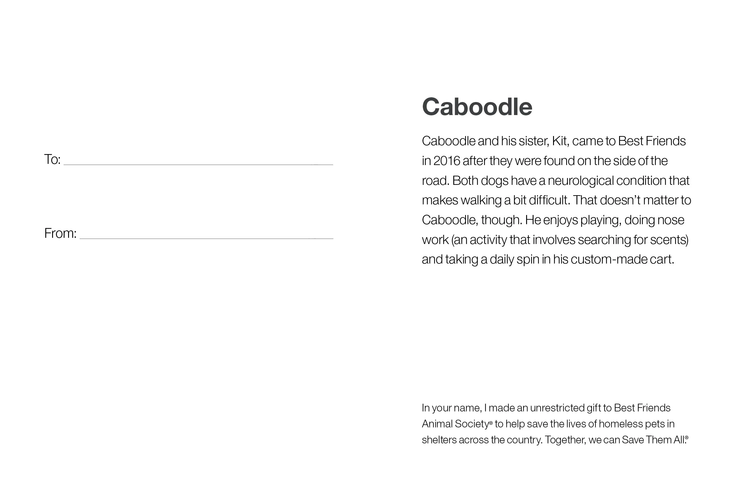 Sponsor Caboodle - Image 5