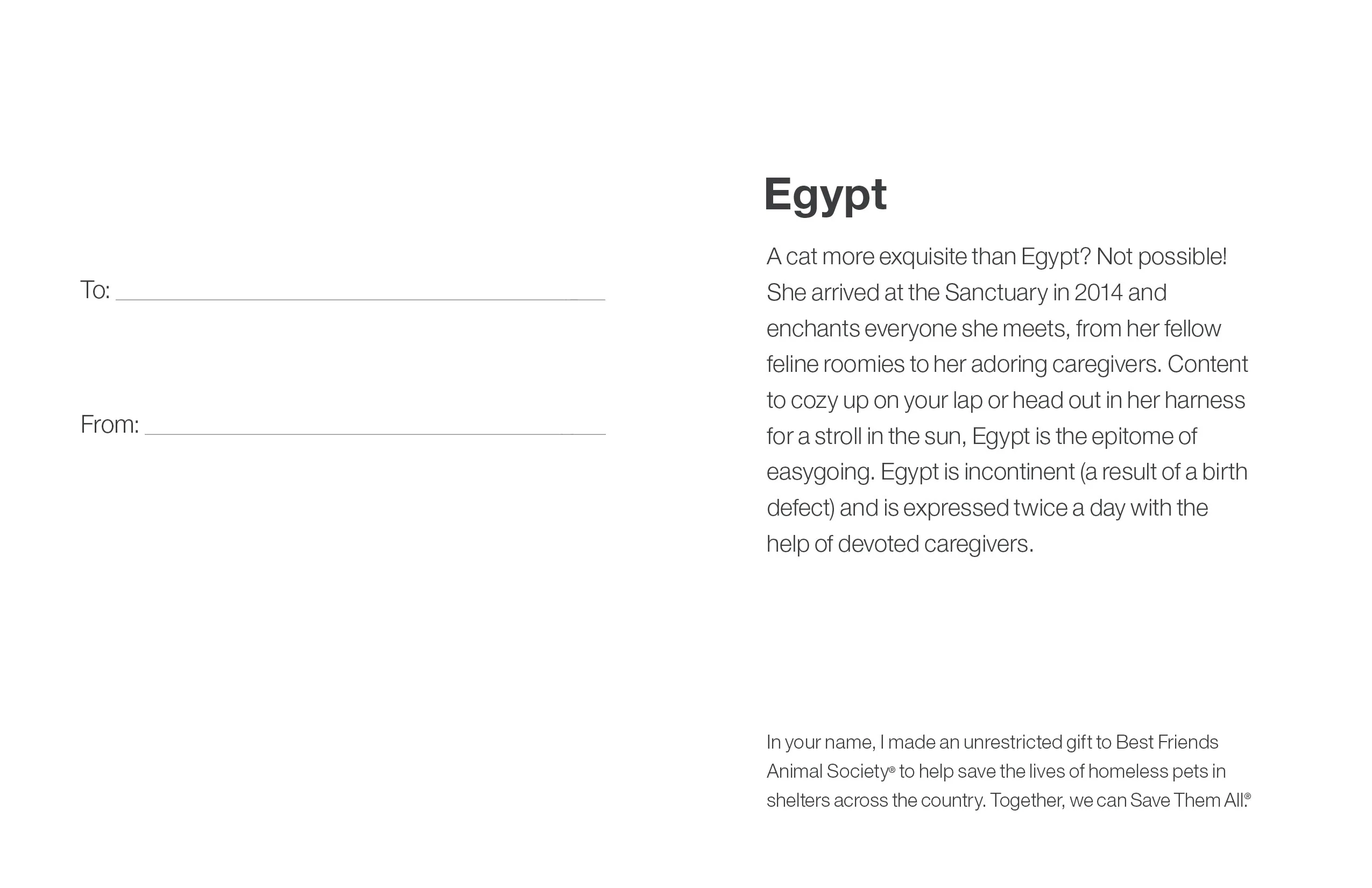 (ARCHIVED) Sponsor Egypt - Image 5