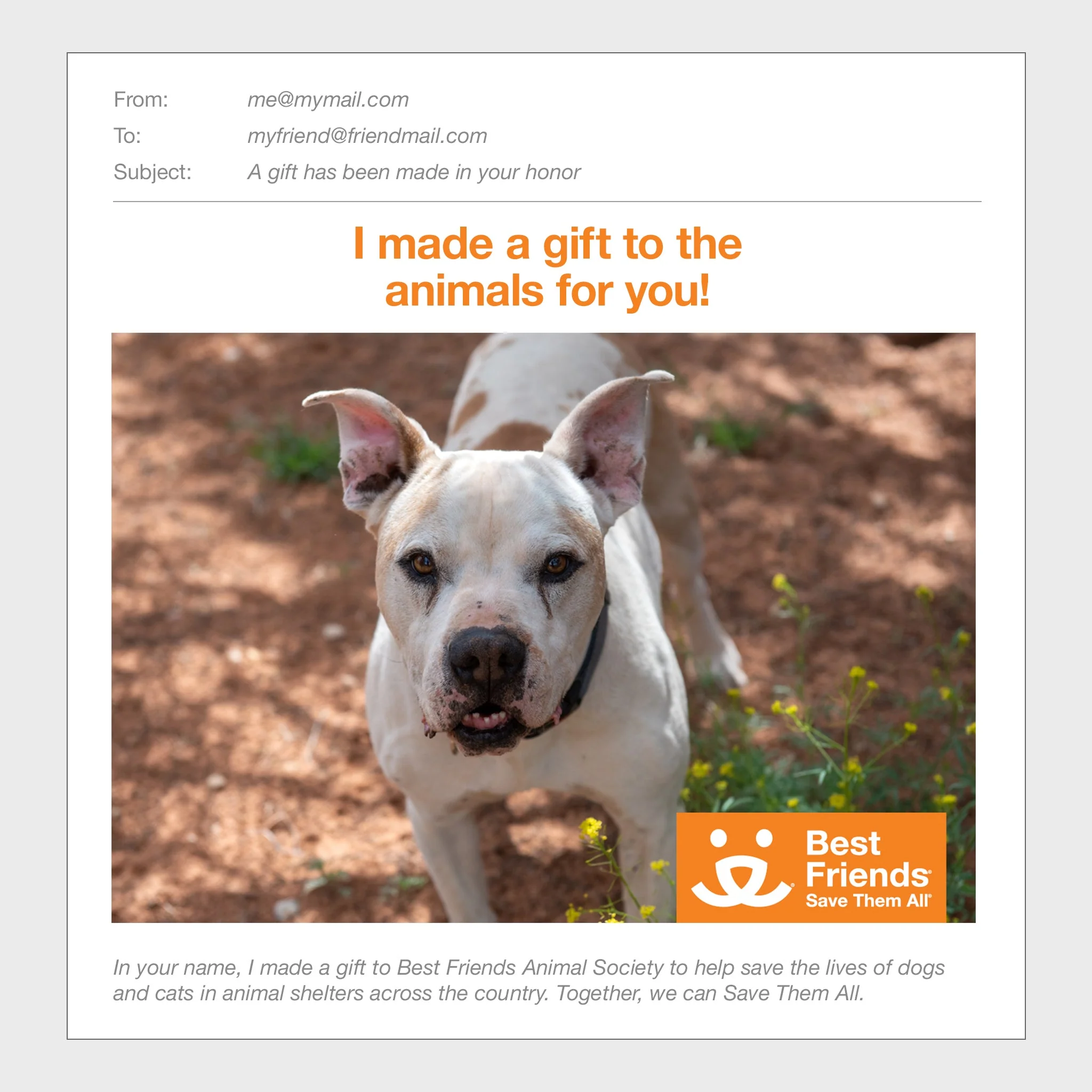 Sponsor Fitz - Image 3