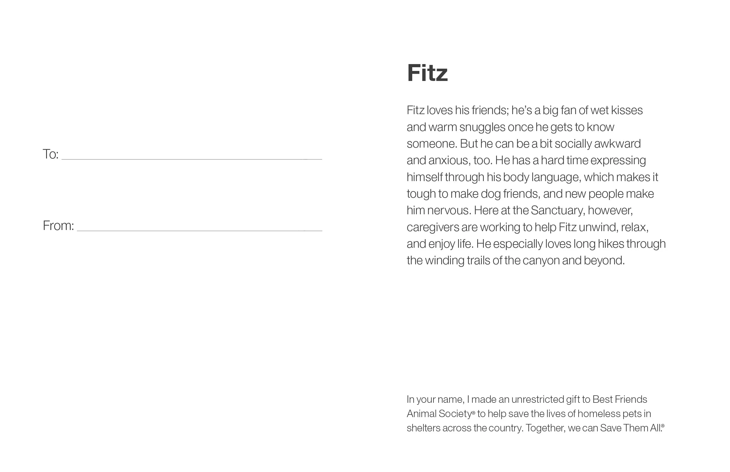 Sponsor Fitz - Image 5