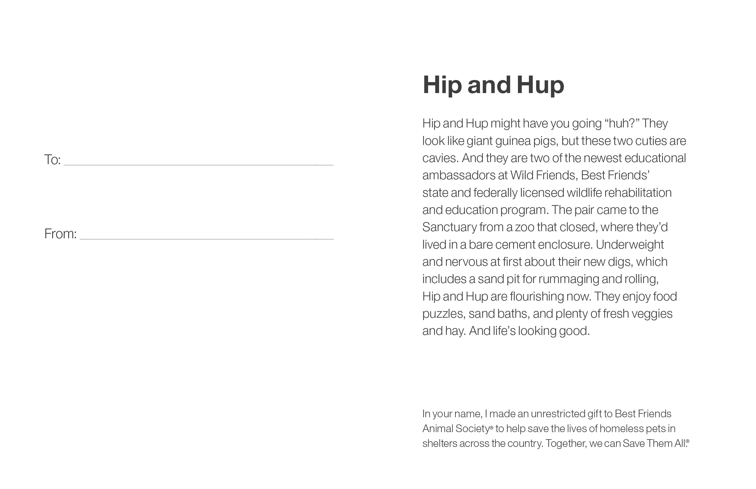 Sponsor Hip and Hup - Image 5