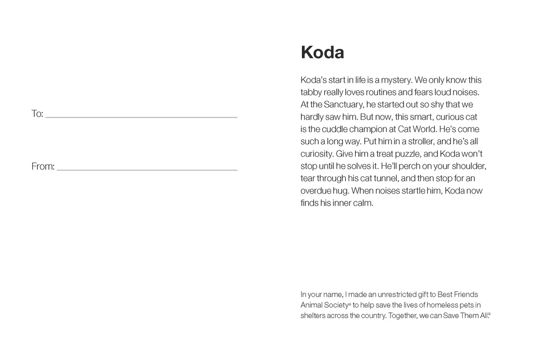Sponsor Koda - Image 5