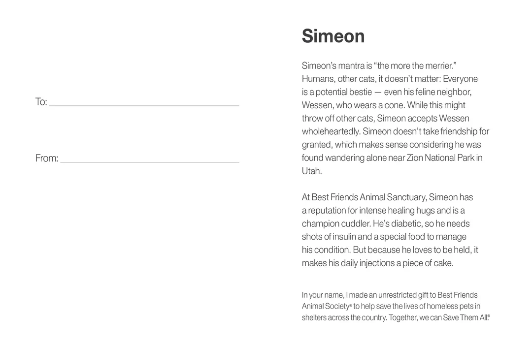 Sponsor Simeon - Image 5