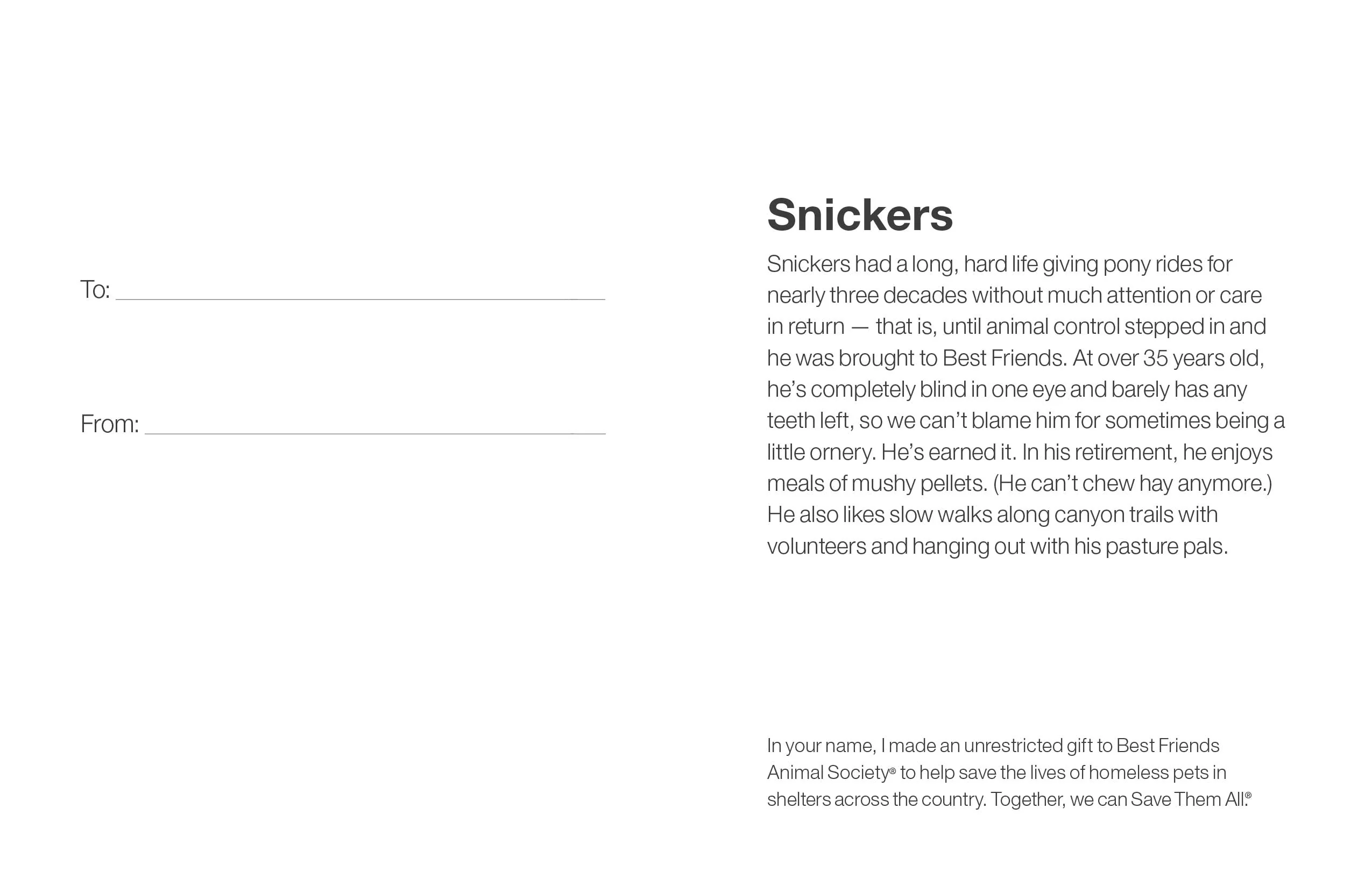 Sponsor Snickers - Image 5