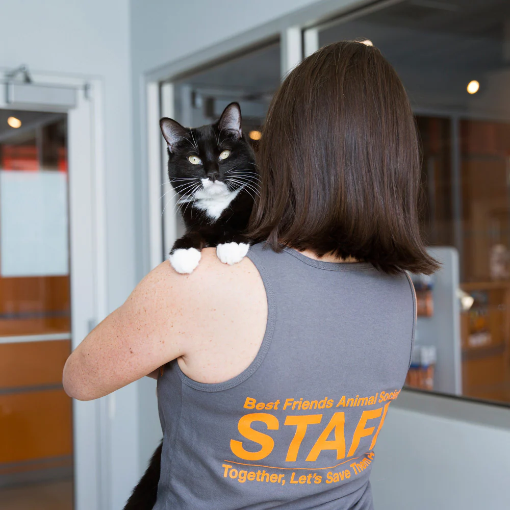 Staff Racer Tank - Image 4
