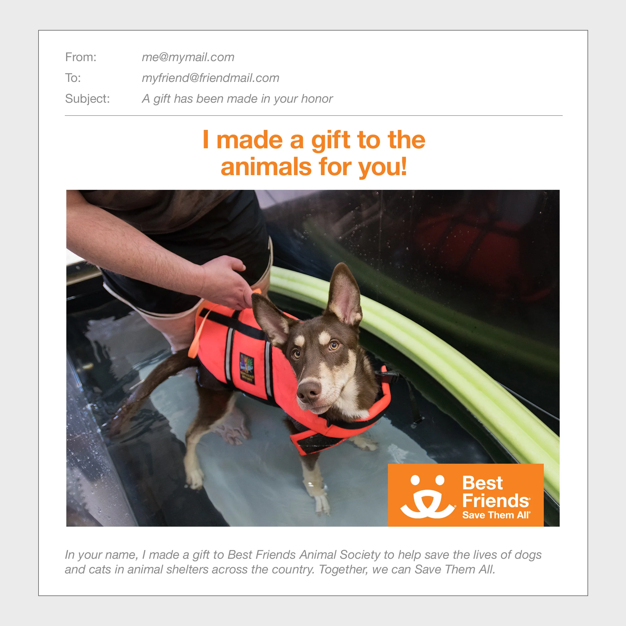Therapeutic Package - Image 2