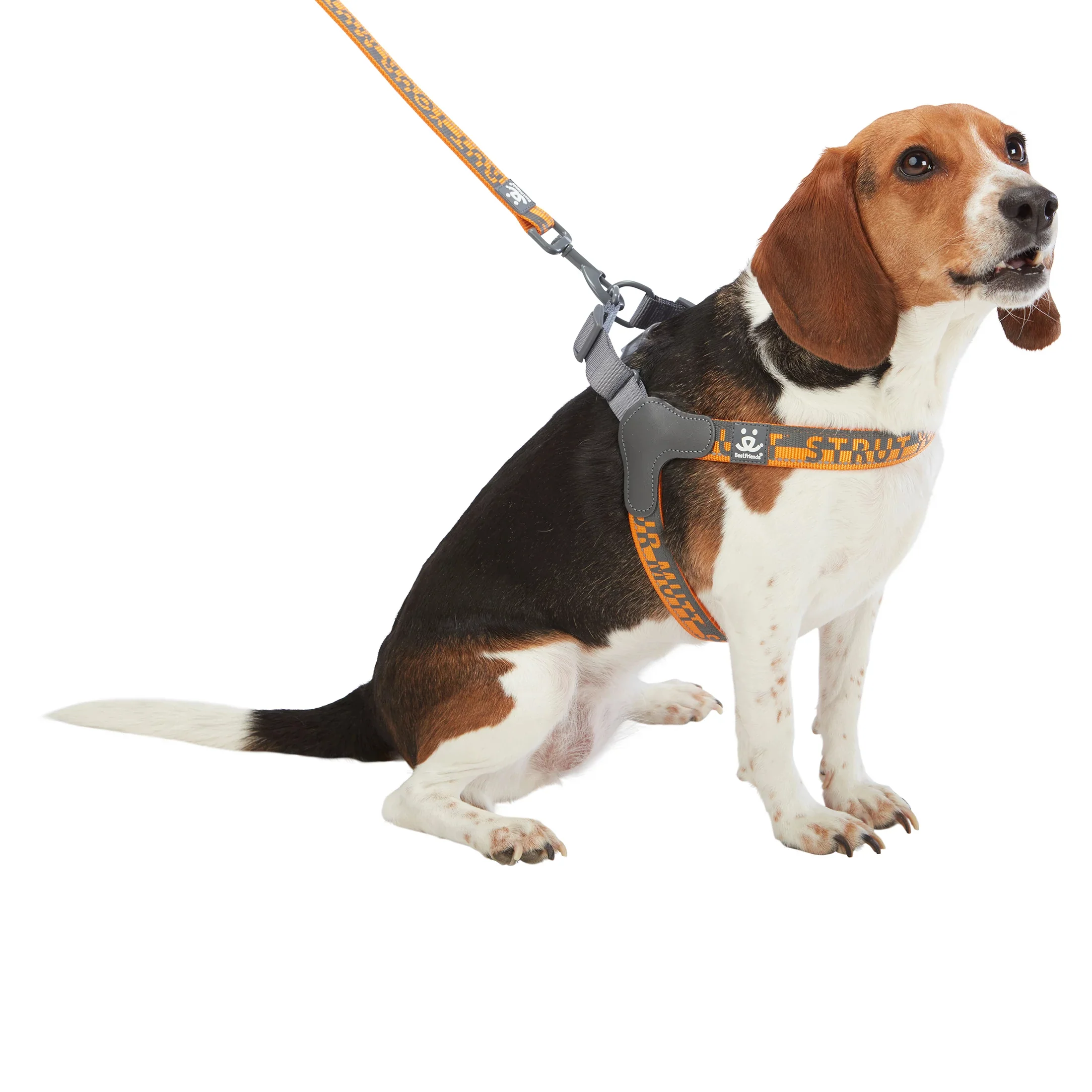 Comfort Harness - Image 12