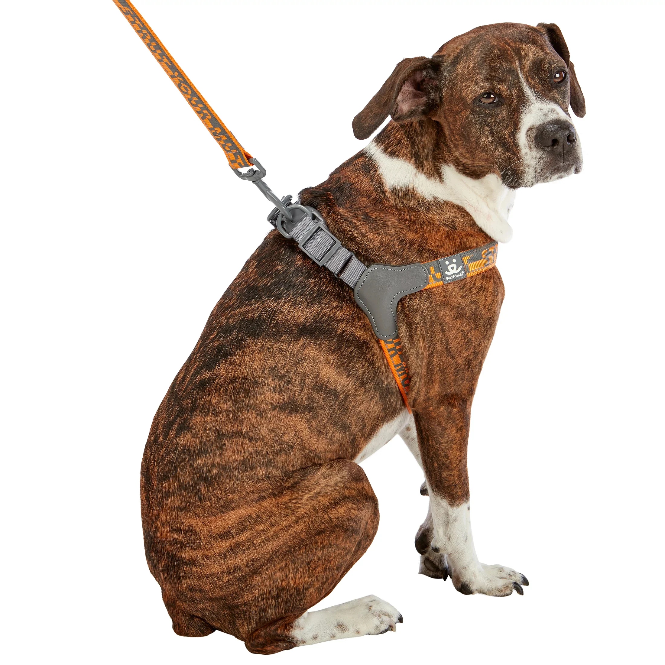Comfort Harness - Image 14