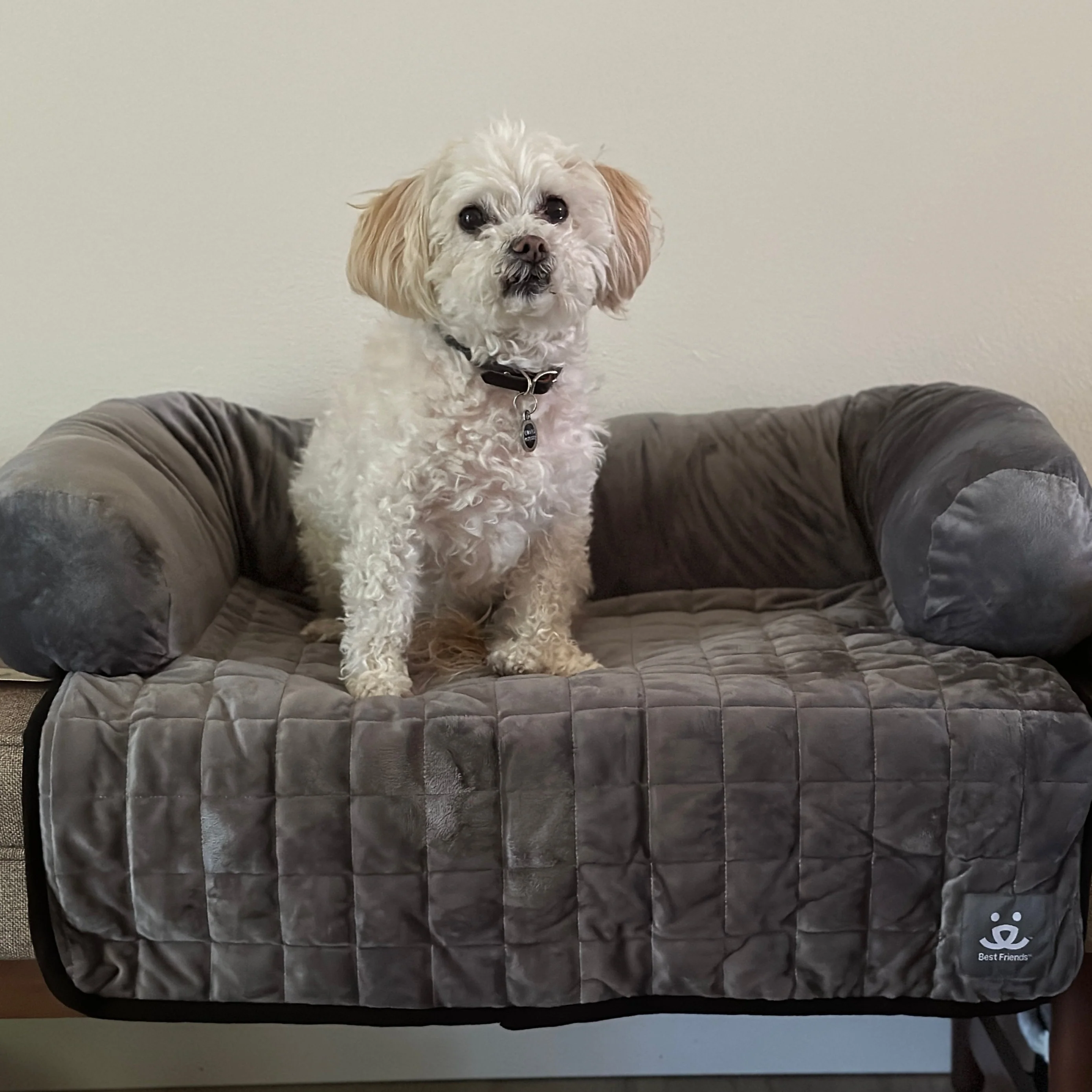 Couch Cover with Bolster - Image 5