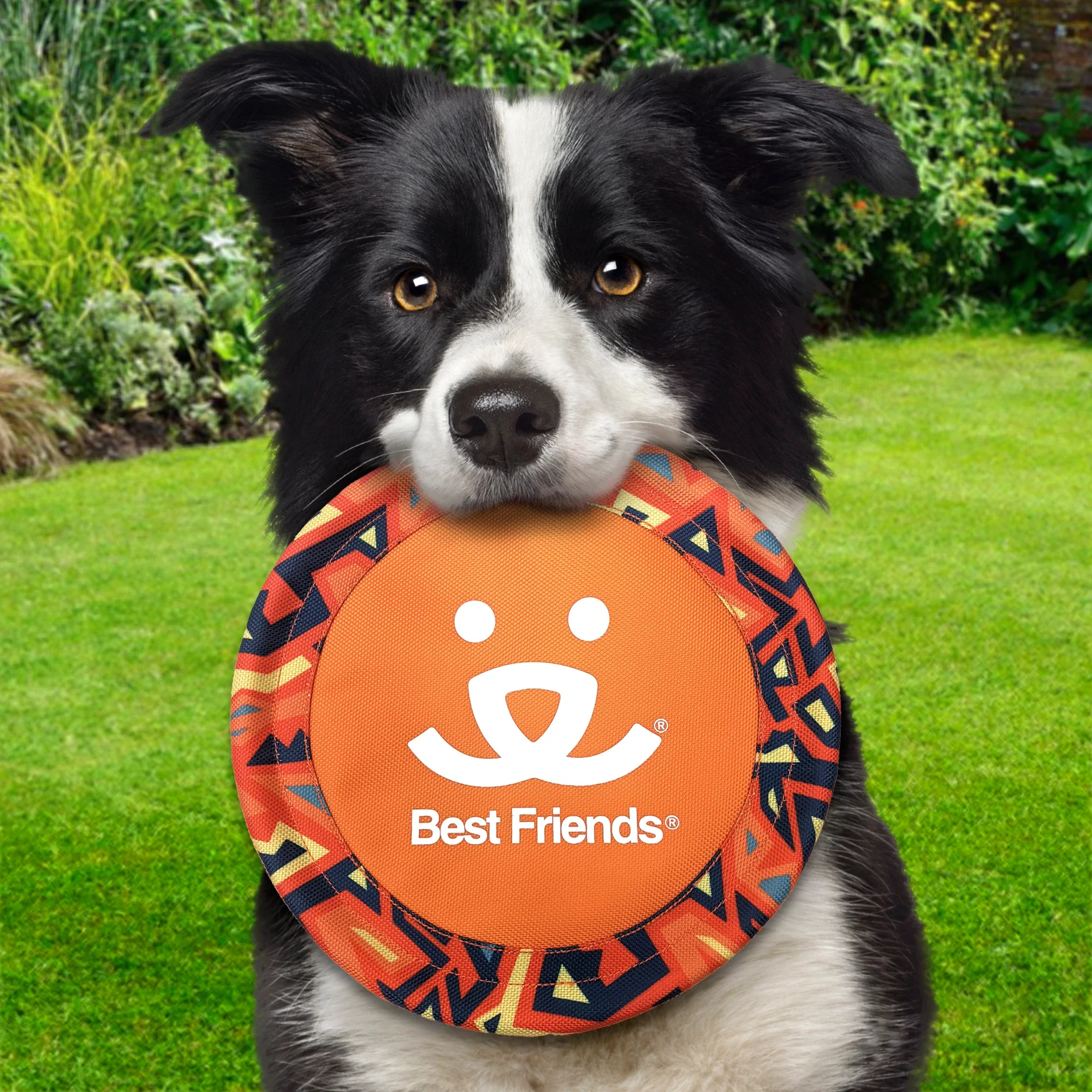 Best Friends Flying Disc - Image 3