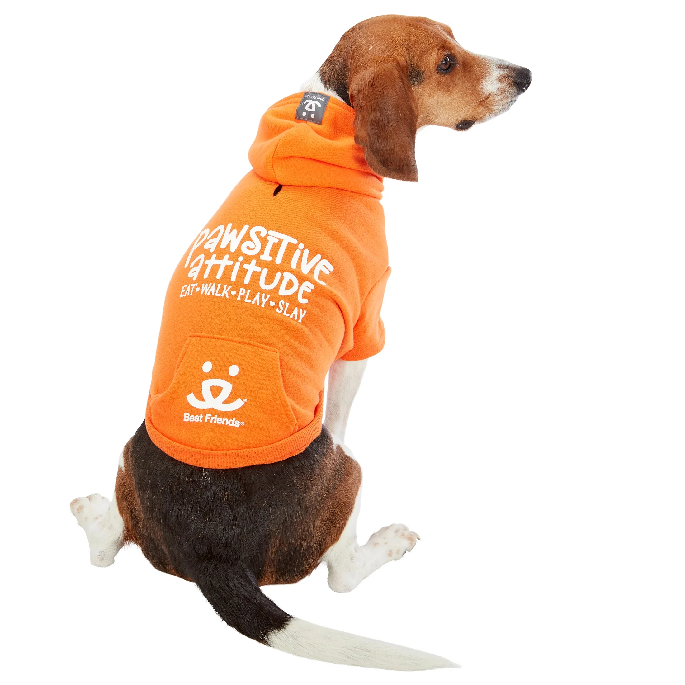 Pawsitive Attitude Dog Hoodie - Image 10