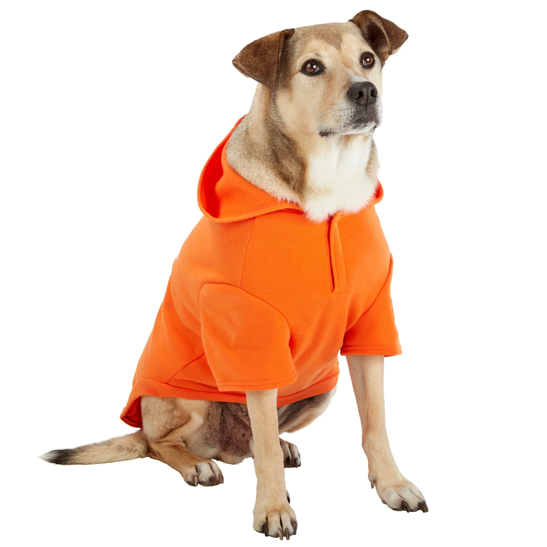 Pawsitive Attitude Dog Hoodie - Image 13